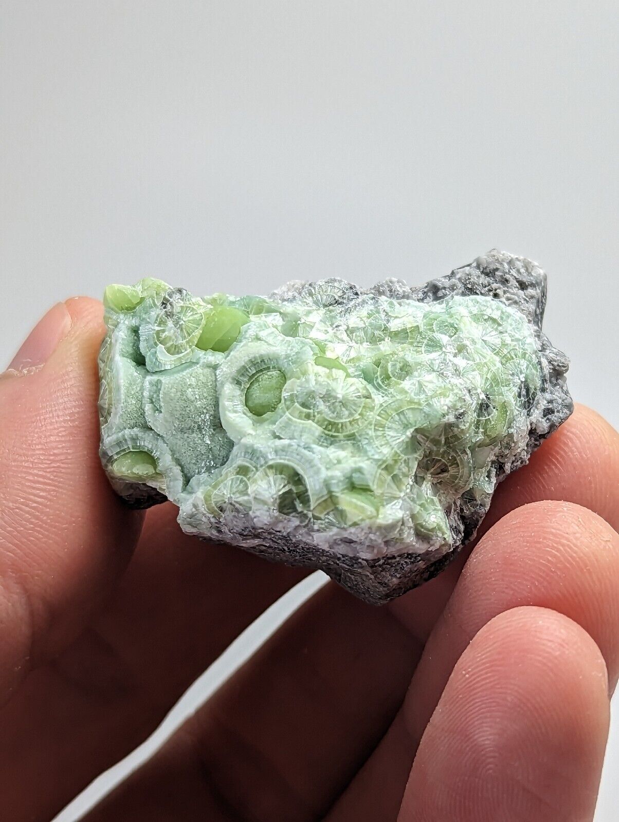 Wavellite - Fantastic 1990s Old Stock - Mauldin Mountain Arkansas - Collectibles:Rocks Fossils & Minerals:Crystals