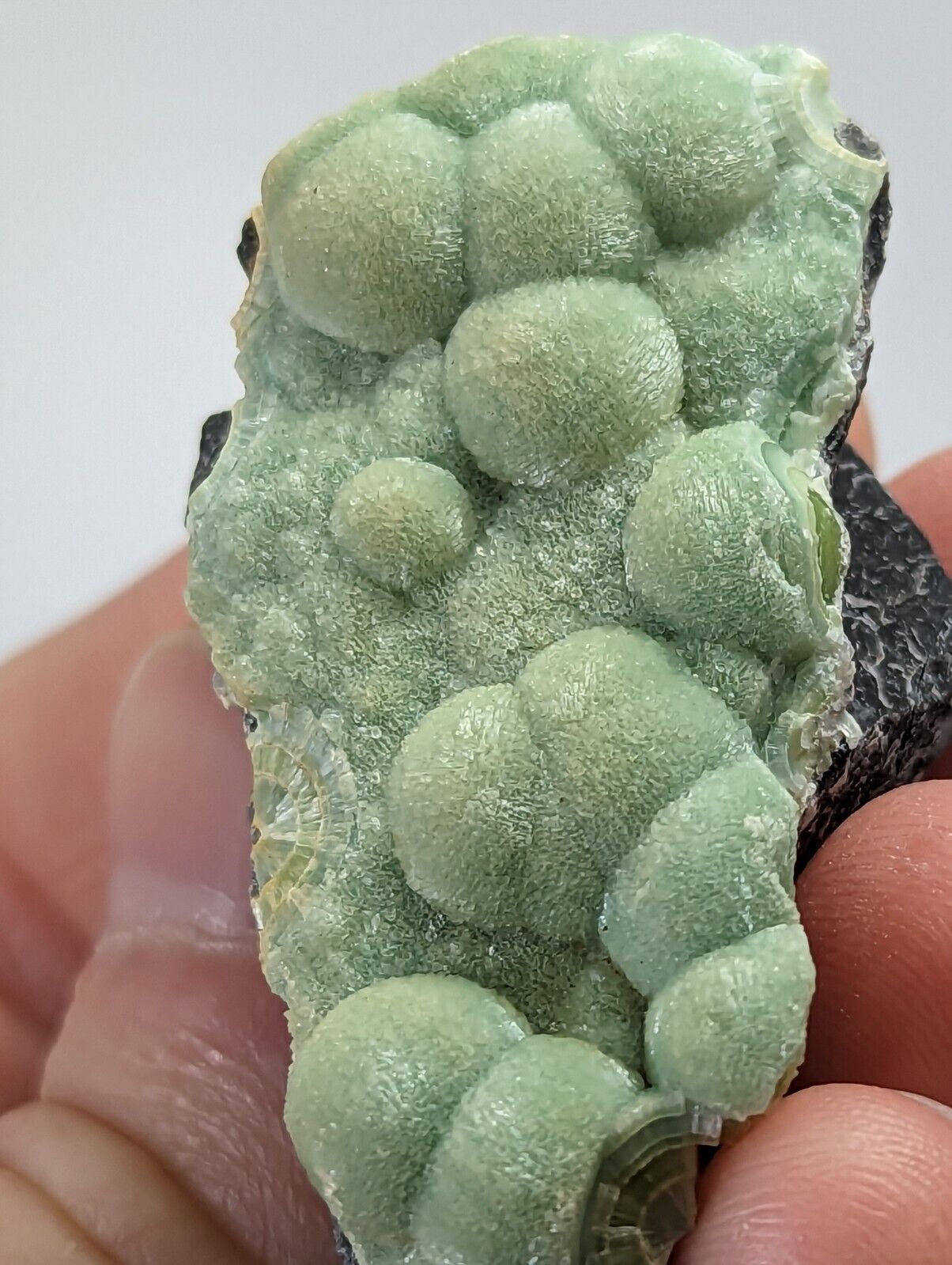 Wavellite - Fantastic 1990s Old Stock - Mauldin Mountain Arkansas - Collectibles:Rocks Fossils & Minerals:Crystals