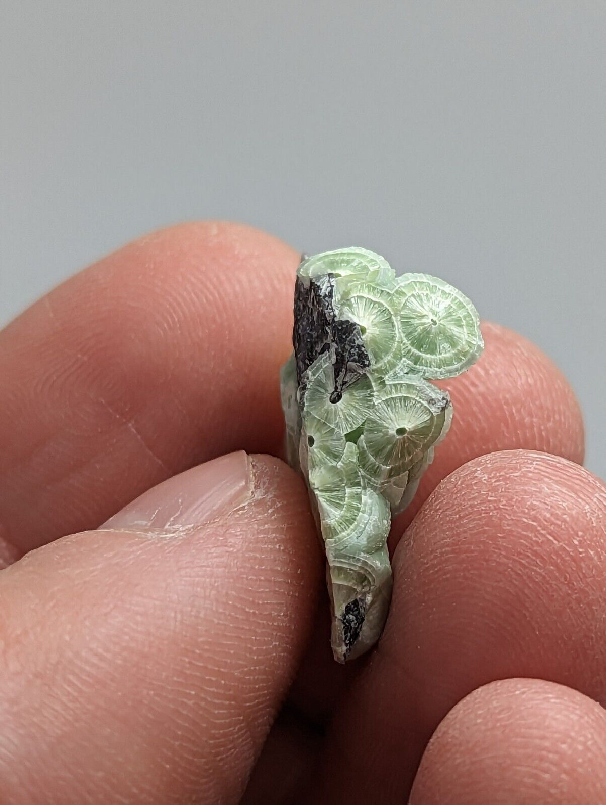 Wavellite - Fantastic 1990s Old Stock - Mauldin Mountain Arkansas - Collectibles:Rocks Fossils & Minerals:Crystals