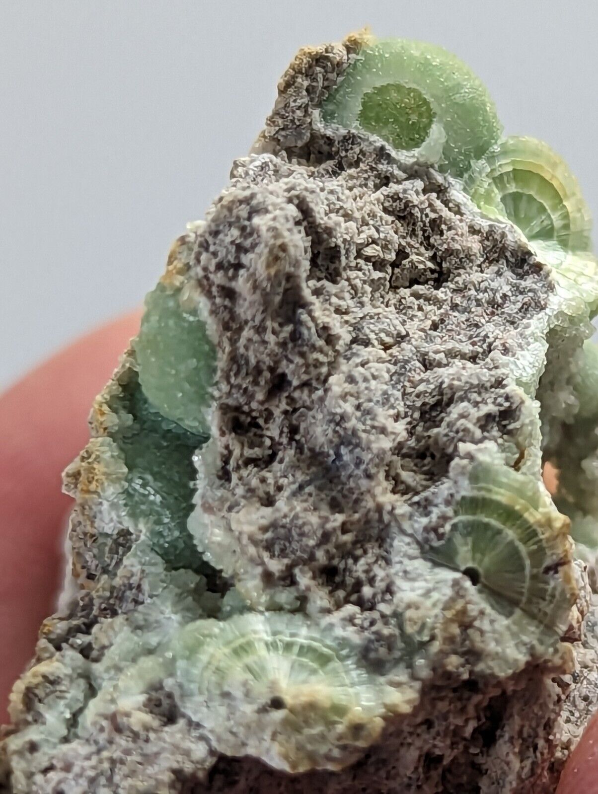 Wavellite -Fantastic 1990s Old Stock- Mauldin Mountain Arkansas montgomery co. - Collectibles:Rocks Fossils &