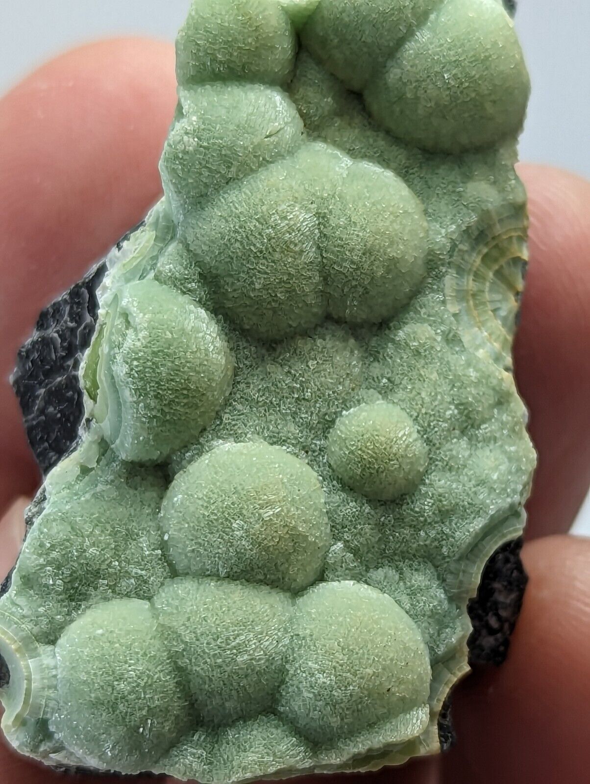 Wavellite - Fantastic 1990s Old Stock - Mauldin Mountain Arkansas - Collectibles:Rocks Fossils & Minerals:Crystals