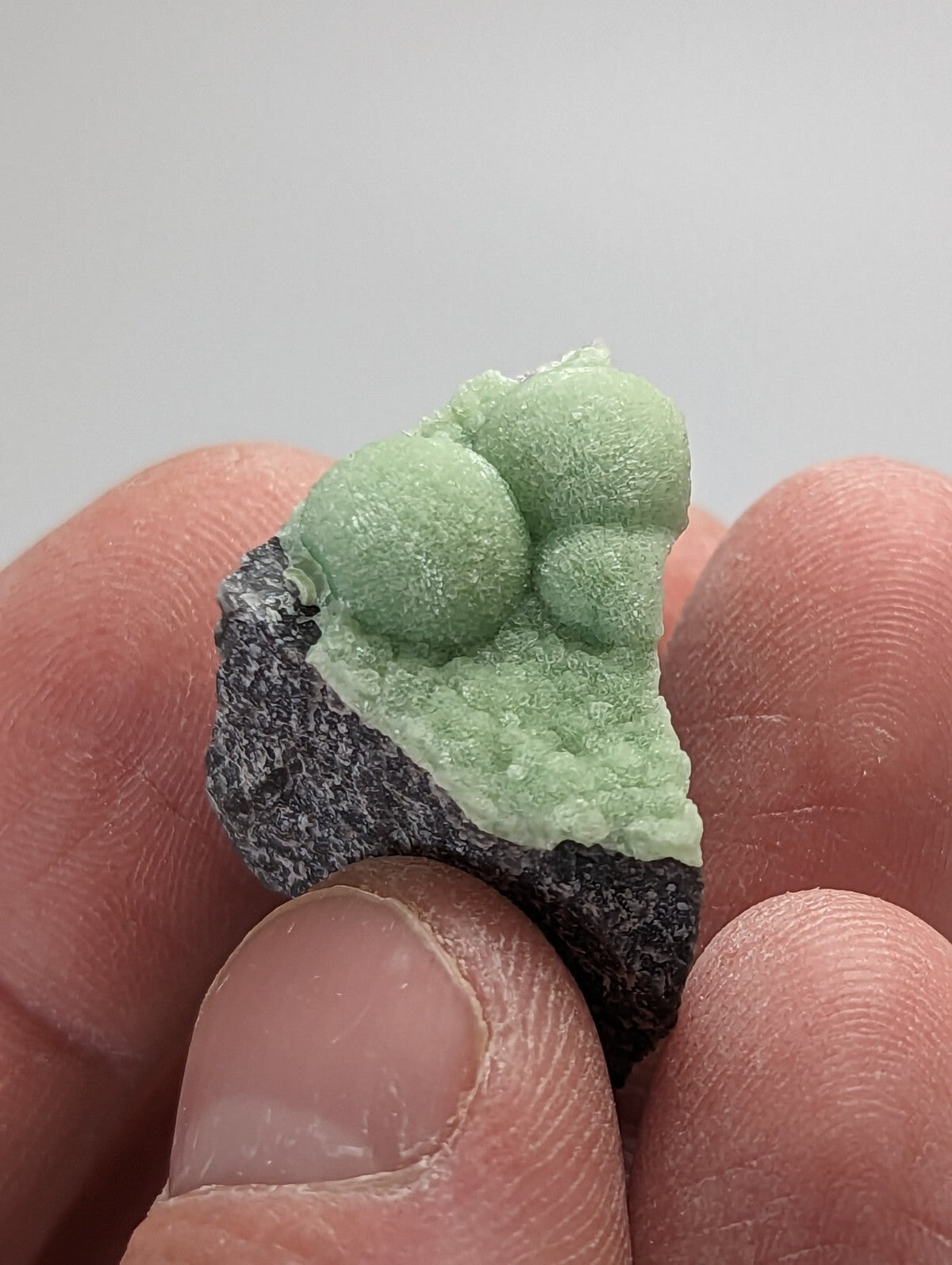 A delicate light green mineral specimen with rounded, bubble-like formations atop a dark gray rock base.