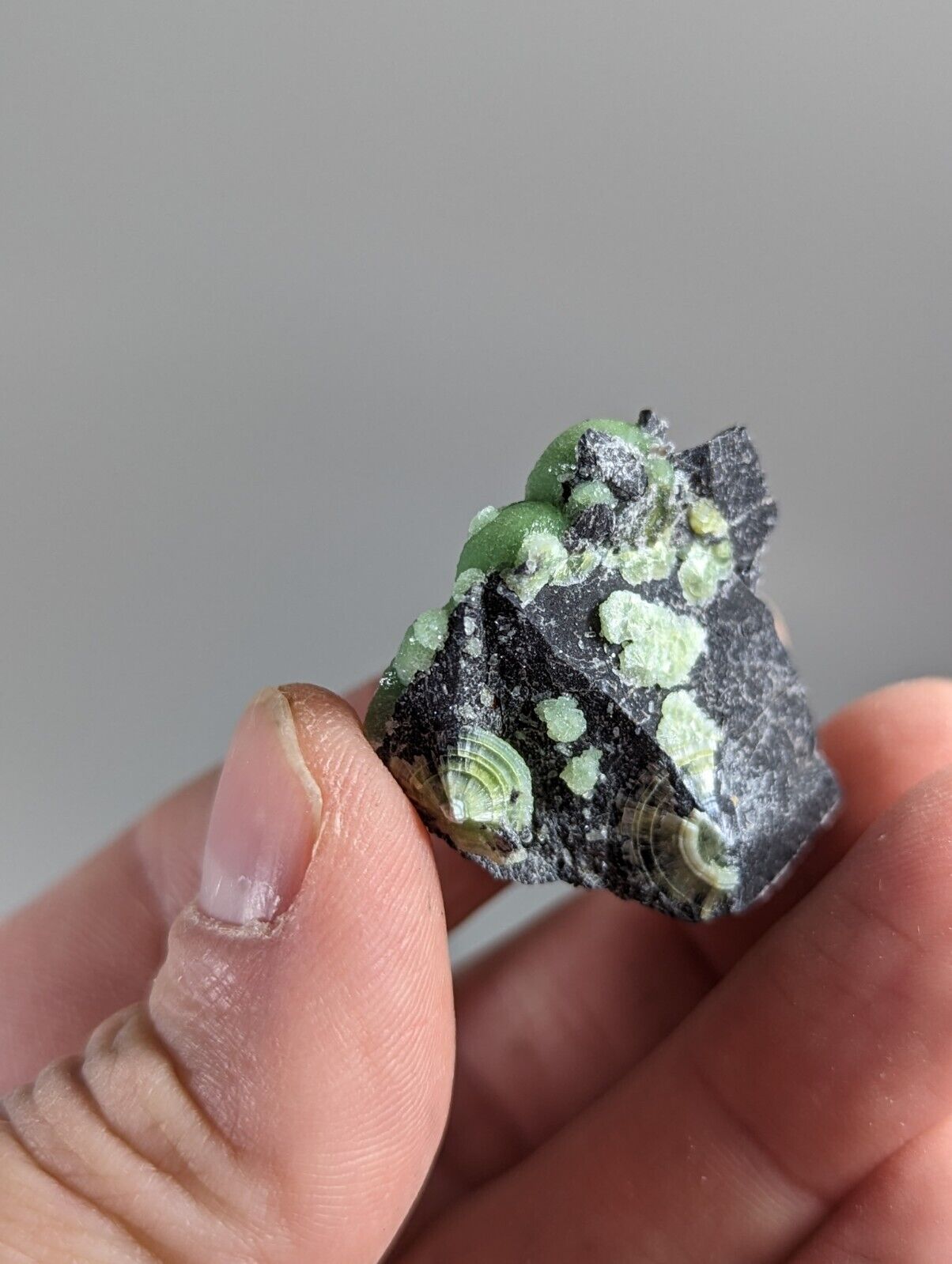 Wavellite - Fantastic 1990s Old Stock - Mauldin Mountain Arkansas - Collectibles:Rocks Fossils & Minerals:Crystals