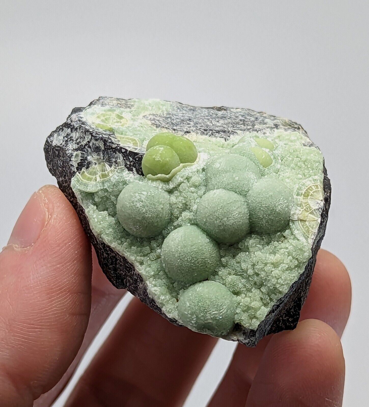 Wavellite - Fantastic 1990s Old Stock - Mauldin Mountain Arkansas - Collectibles:Rocks Fossils & Minerals:Crystals
