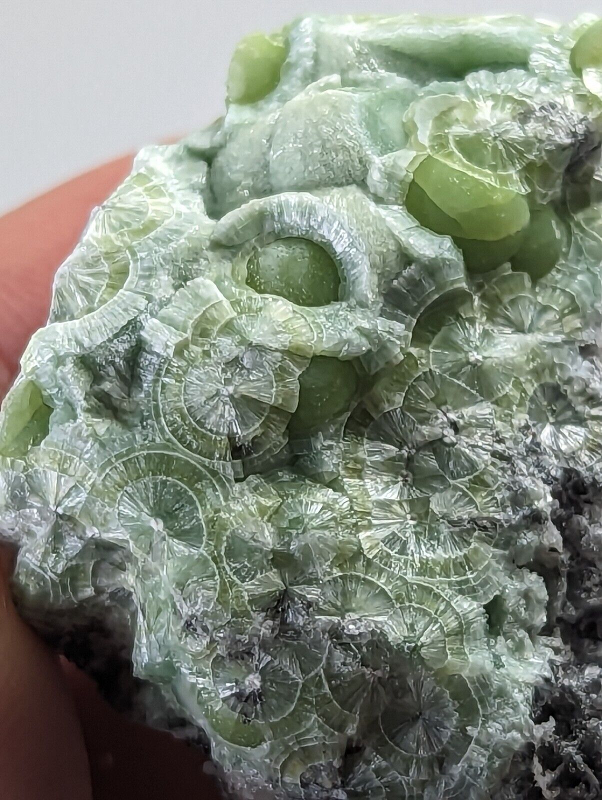 Wavellite - Fantastic 1990s Old Stock - Mauldin Mountain Arkansas - Collectibles:Rocks Fossils & Minerals:Crystals