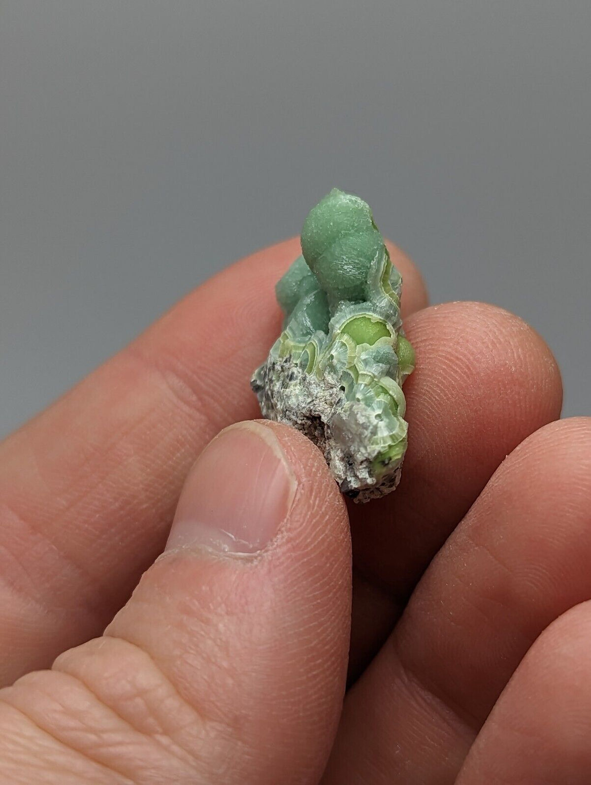 Wavellite - Fantastic 1990s Old Stock - Mauldin Mountain Arkansas A + micro - Collectibles:Rocks Fossils &