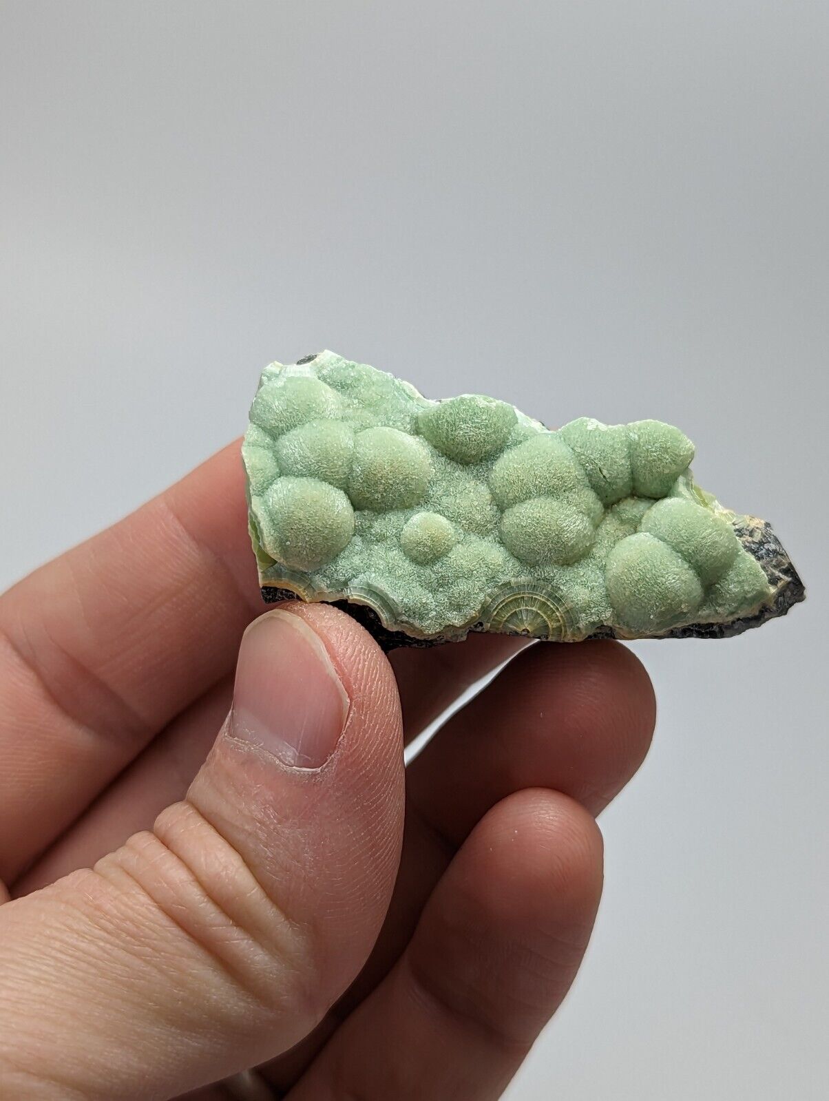 Wavellite - Fantastic 1990s Old Stock - Mauldin Mountain Arkansas - Collectibles:Rocks Fossils & Minerals:Crystals