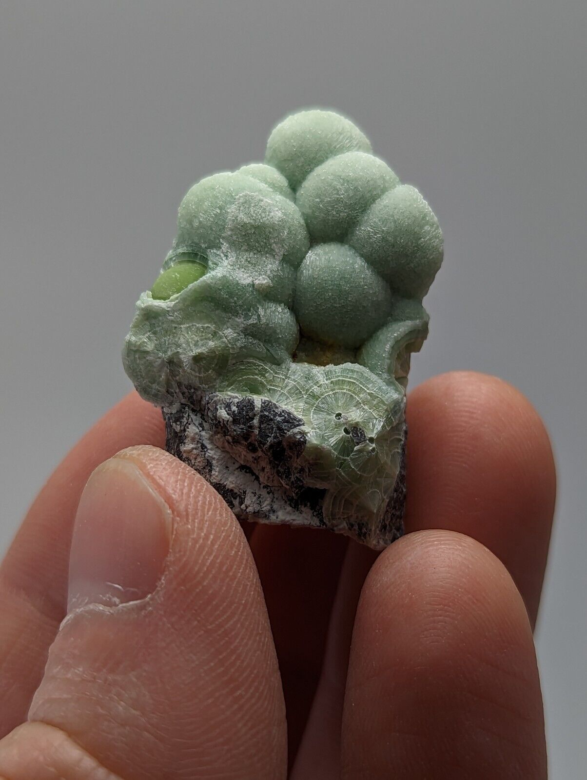 Wavellite - Fantastic 1990s Old Stock - Mauldin Mountain Arkansas - Collectibles:Rocks Fossils & Minerals:Crystals