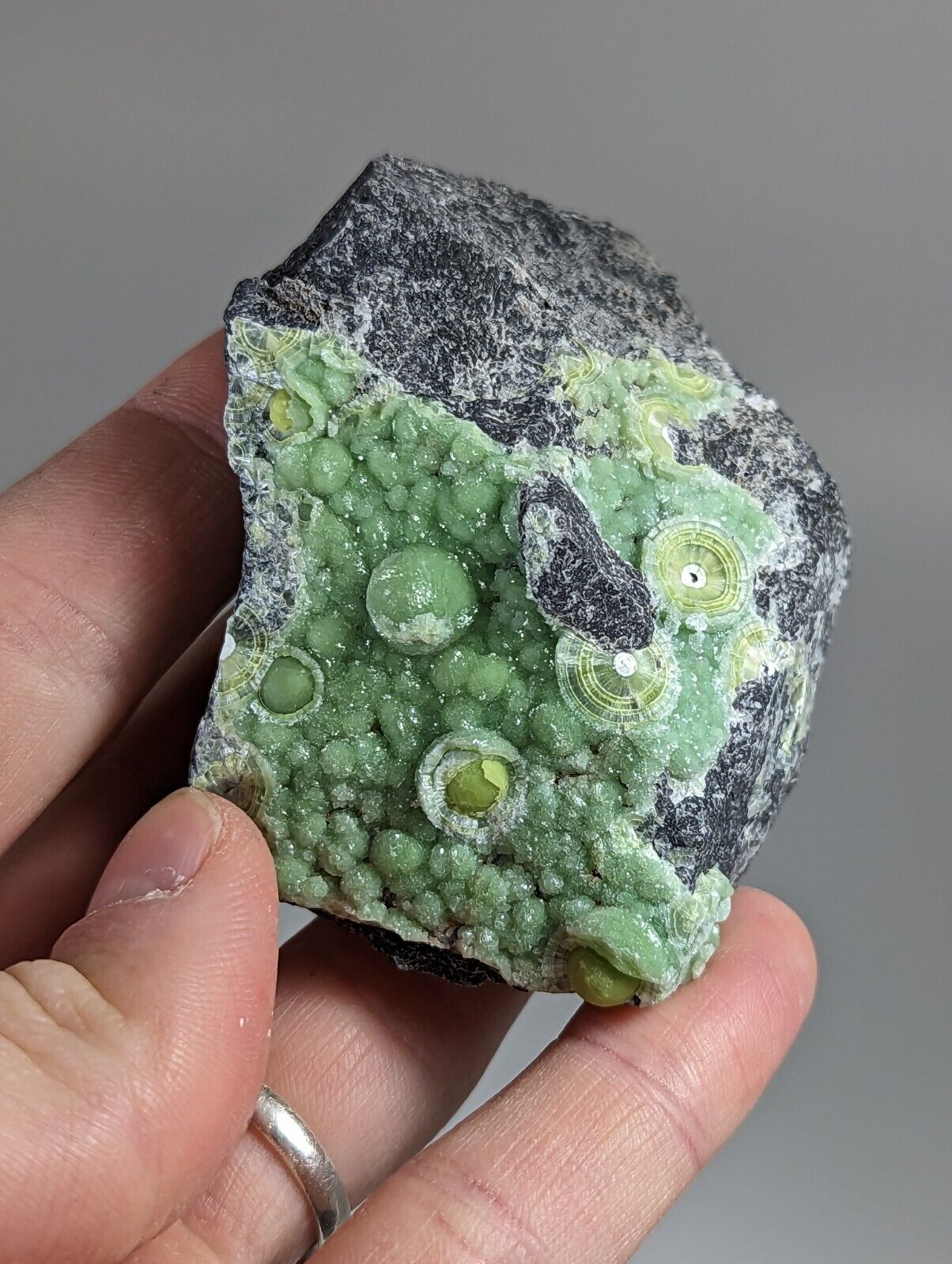 Wavellite - Fantastic 1990s Old Stock - Mauldin Mountain Arkansas - Collectibles:Rocks Fossils & Minerals:Crystals