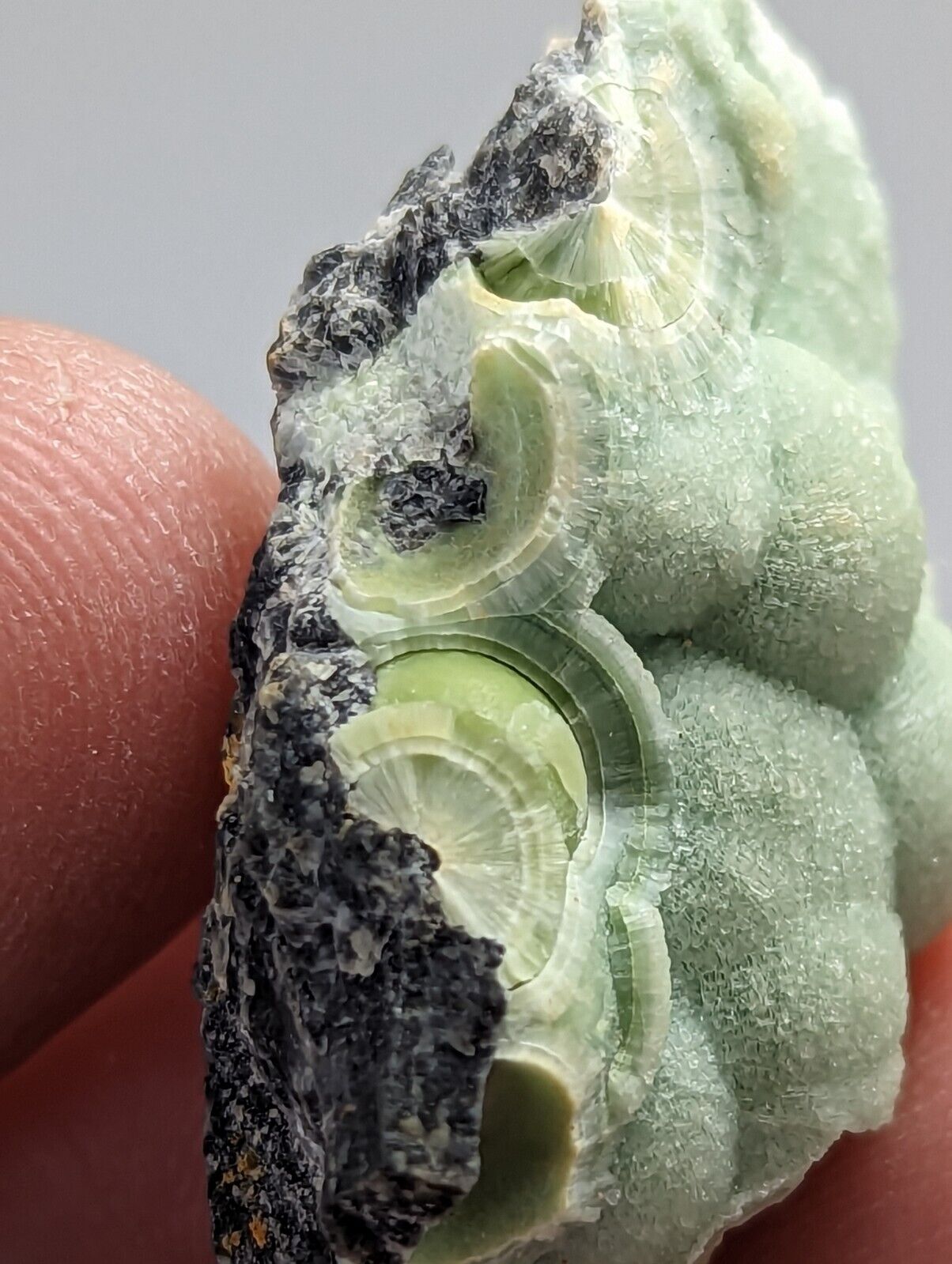 Wavellite - Fantastic 1990s Old Stock - Mauldin Mountain Arkansas - Collectibles:Rocks Fossils & Minerals:Crystals