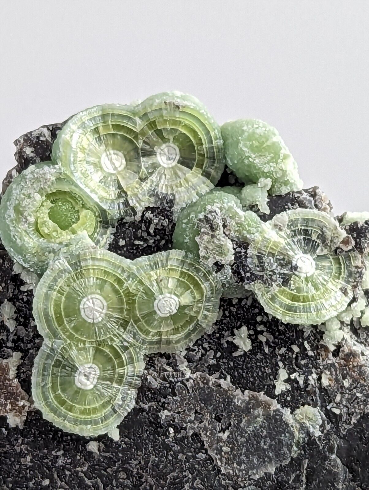 Wavellite - Fantastic 1990s Old Stock - Mauldin Mountain Arkansas - Collectibles:Rocks Fossils & Minerals:Crystals