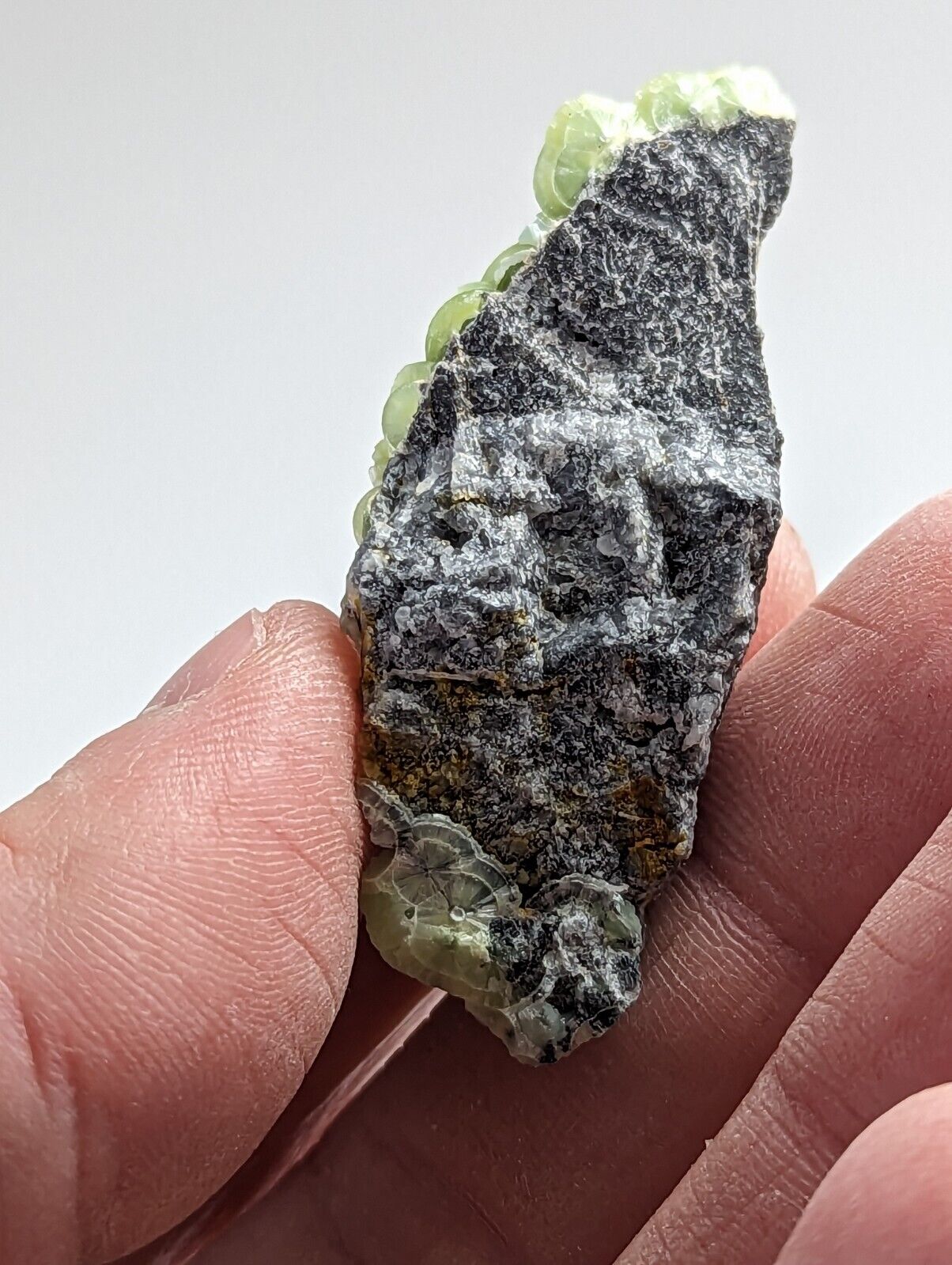 Wavellite - Fantastic 1990s Old Stock - Mauldin Mountain Arkansas - Collectibles:Rocks Fossils & Minerals:Crystals