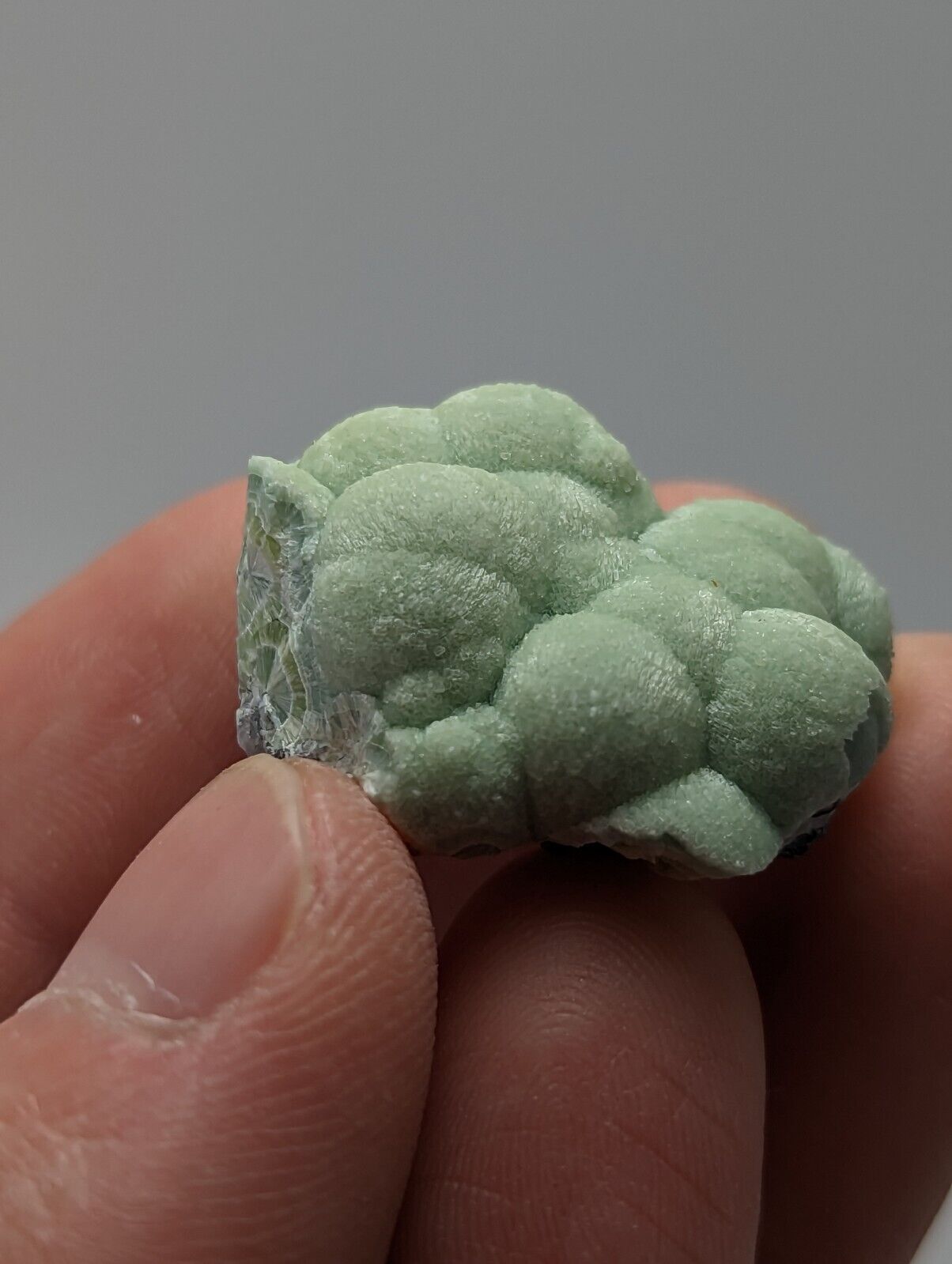 Wavellite - Fantastic 1990s Old Stock - Mauldin Mountain Arkansas - Collectibles:Rocks Fossils & Minerals:Crystals