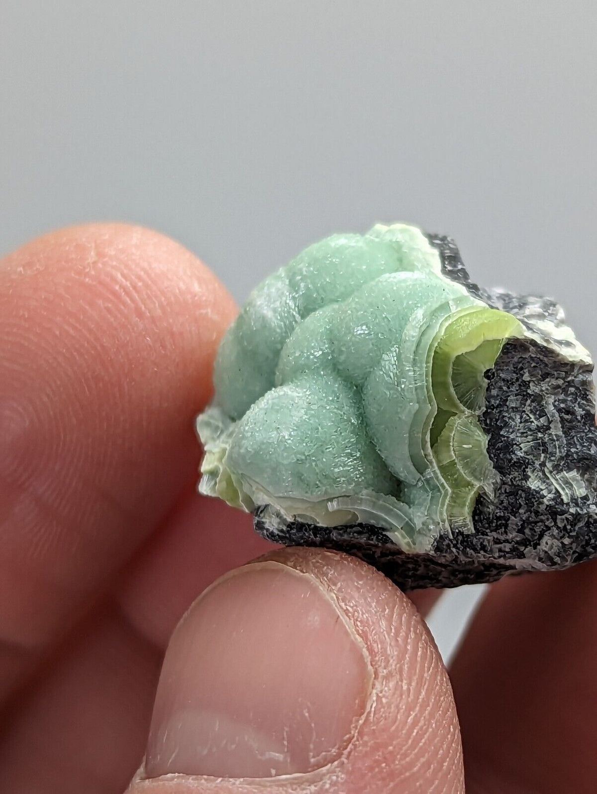 Wavellite - Fantastic 1990s Old Stock - Mauldin Mountain Arkansas - Collectibles:Rocks Fossils & Minerals:Crystals