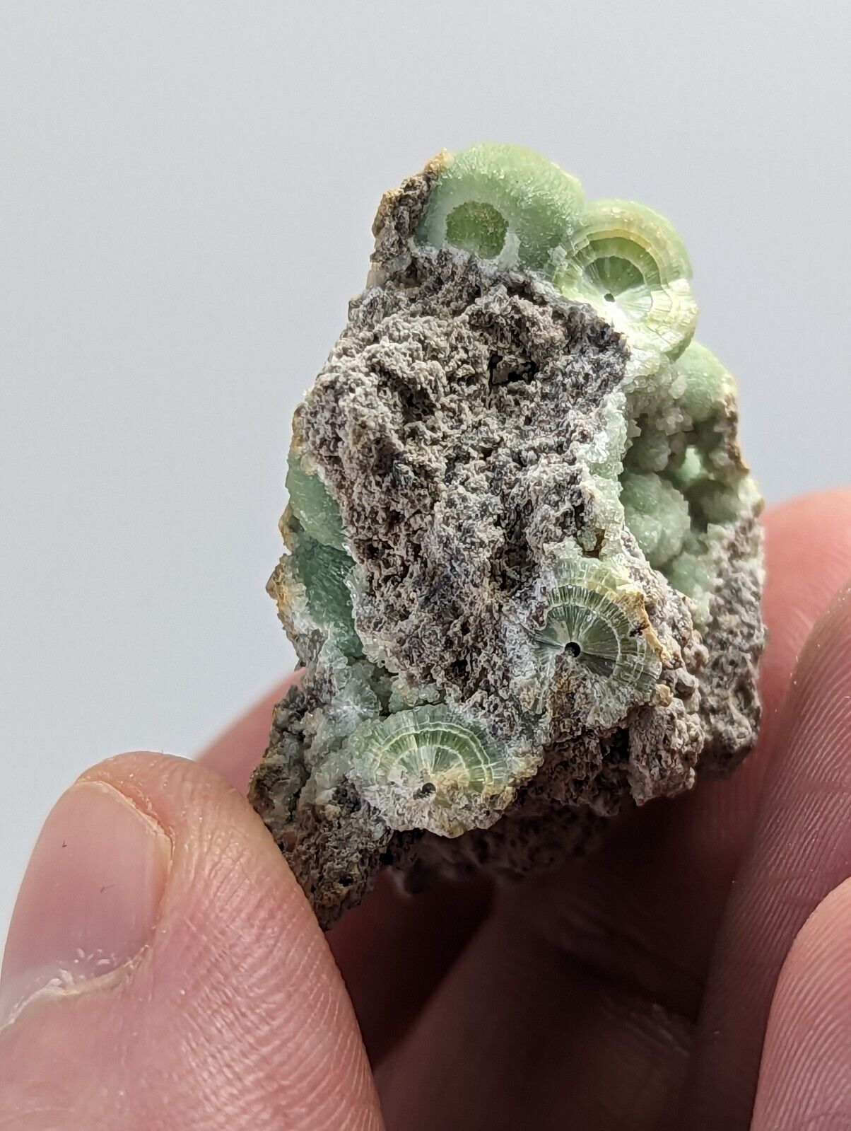 Wavellite -Fantastic 1990s Old Stock- Mauldin Mountain Arkansas montgomery co. - Collectibles:Rocks Fossils &