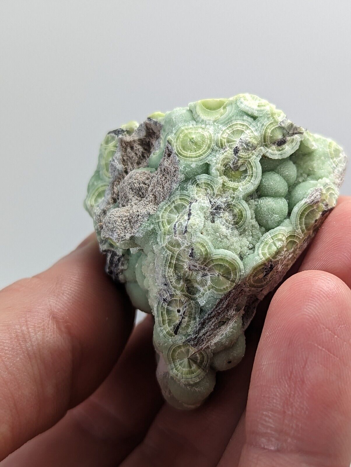 Wavellite -Fantastic 1990s Old Stock- Mauldin Mountain Arkansas montgomery co. - Collectibles:Rocks Fossils &