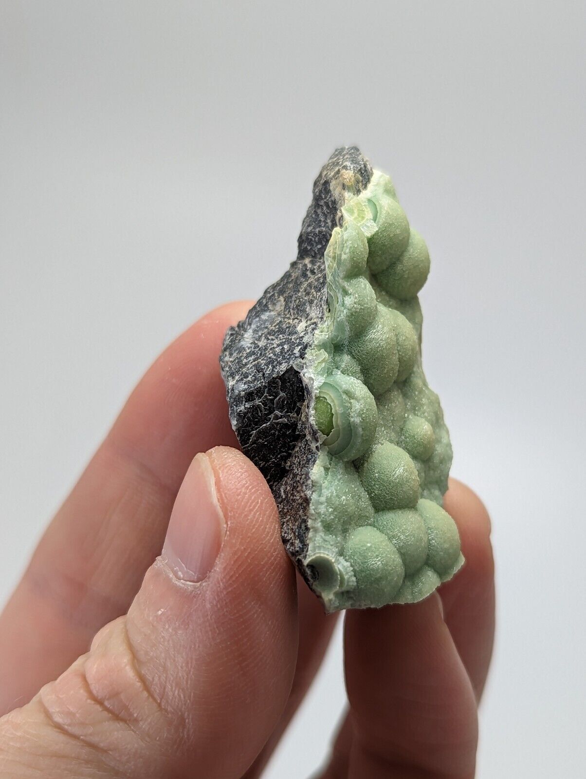 Wavellite - Fantastic 1990s Old Stock - Mauldin Mountain Arkansas - Collectibles:Rocks Fossils & Minerals:Crystals