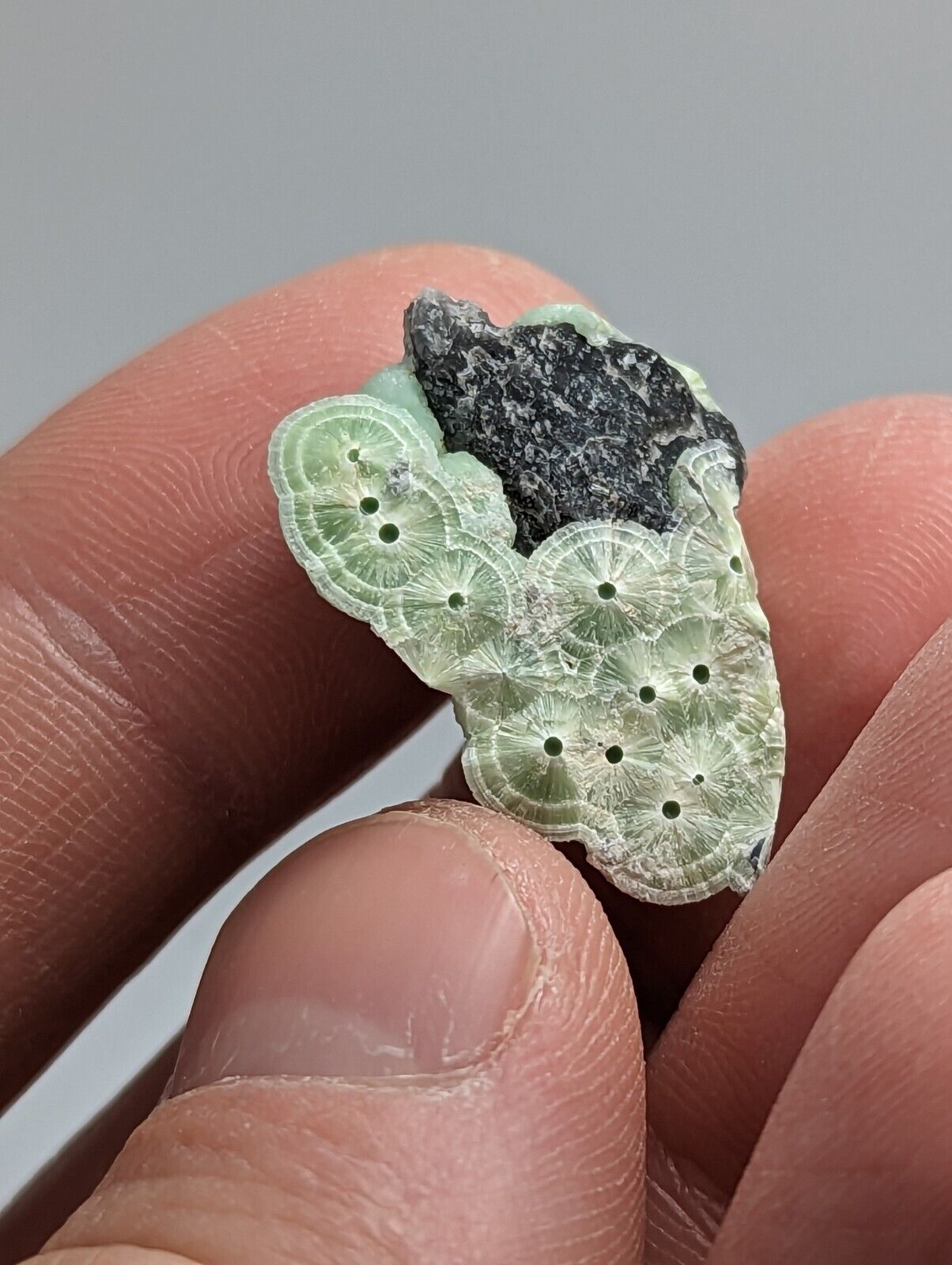 Wavellite - Fantastic 1990s Old Stock - Mauldin Mountain Arkansas - Collectibles:Rocks Fossils & Minerals:Crystals