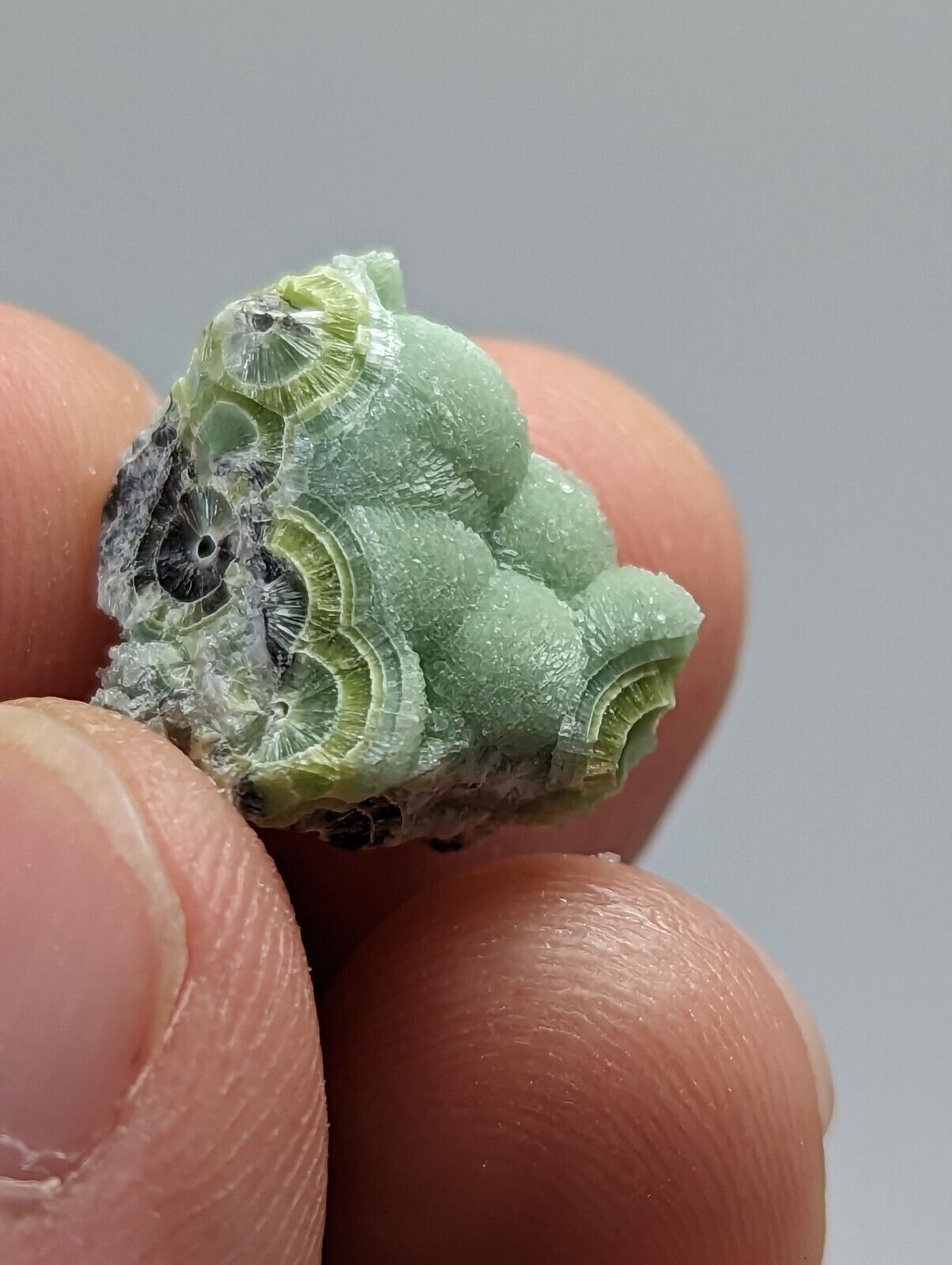 Wavellite - Fantastic 1990s Old Stock - Mauldin Mountain Arkansas - Collectibles:Rocks Fossils & Minerals:Crystals
