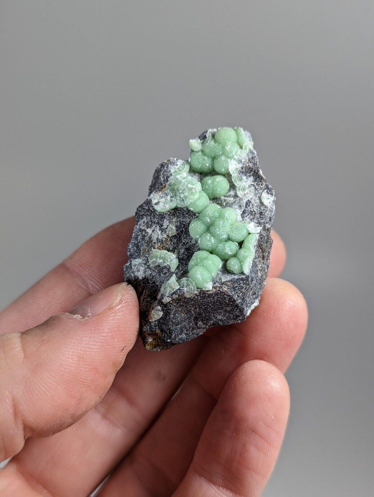 Wavellite - Fantastic 1990s Old Stock - Mauldin Mountain Arkansas - Collectibles:Rocks Fossils & Minerals:Crystals