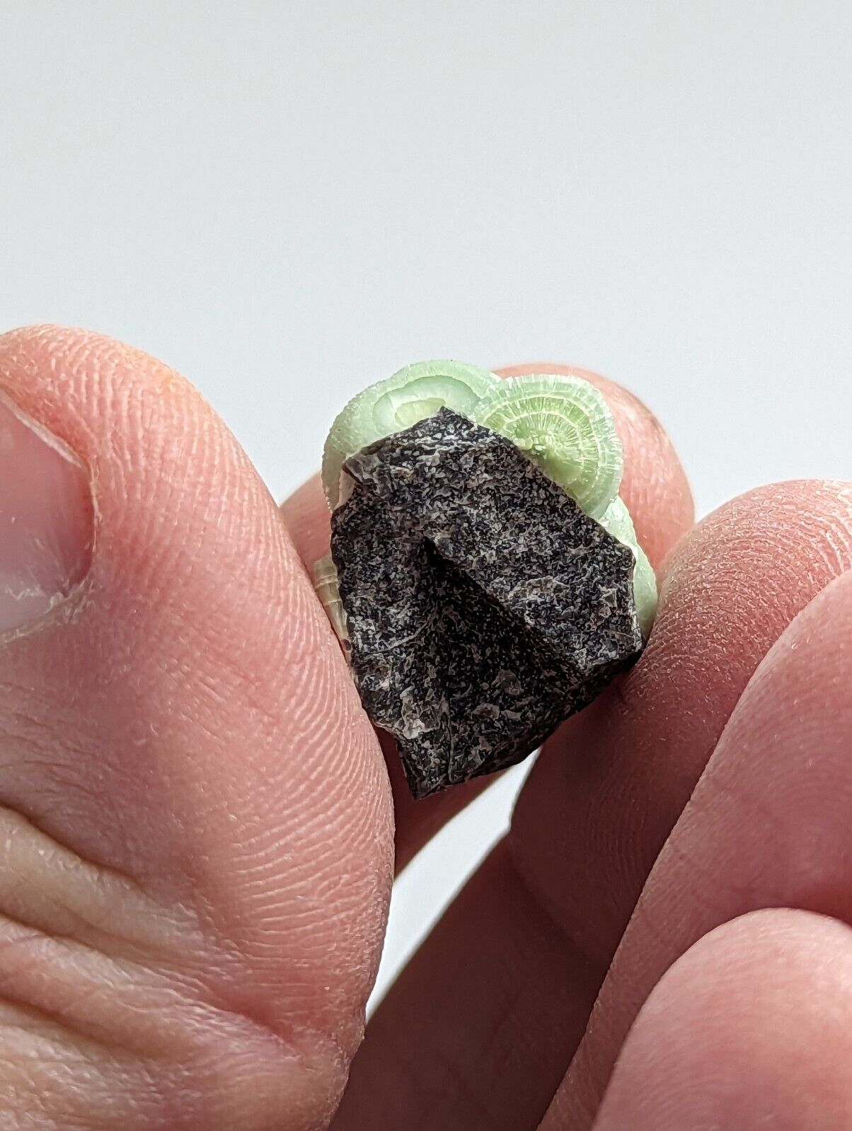 Wavellite - Fantastic 1990s Old Stock - Mauldin Mountain Arkansas - Collectibles:Rocks Fossils & Minerals:Crystals