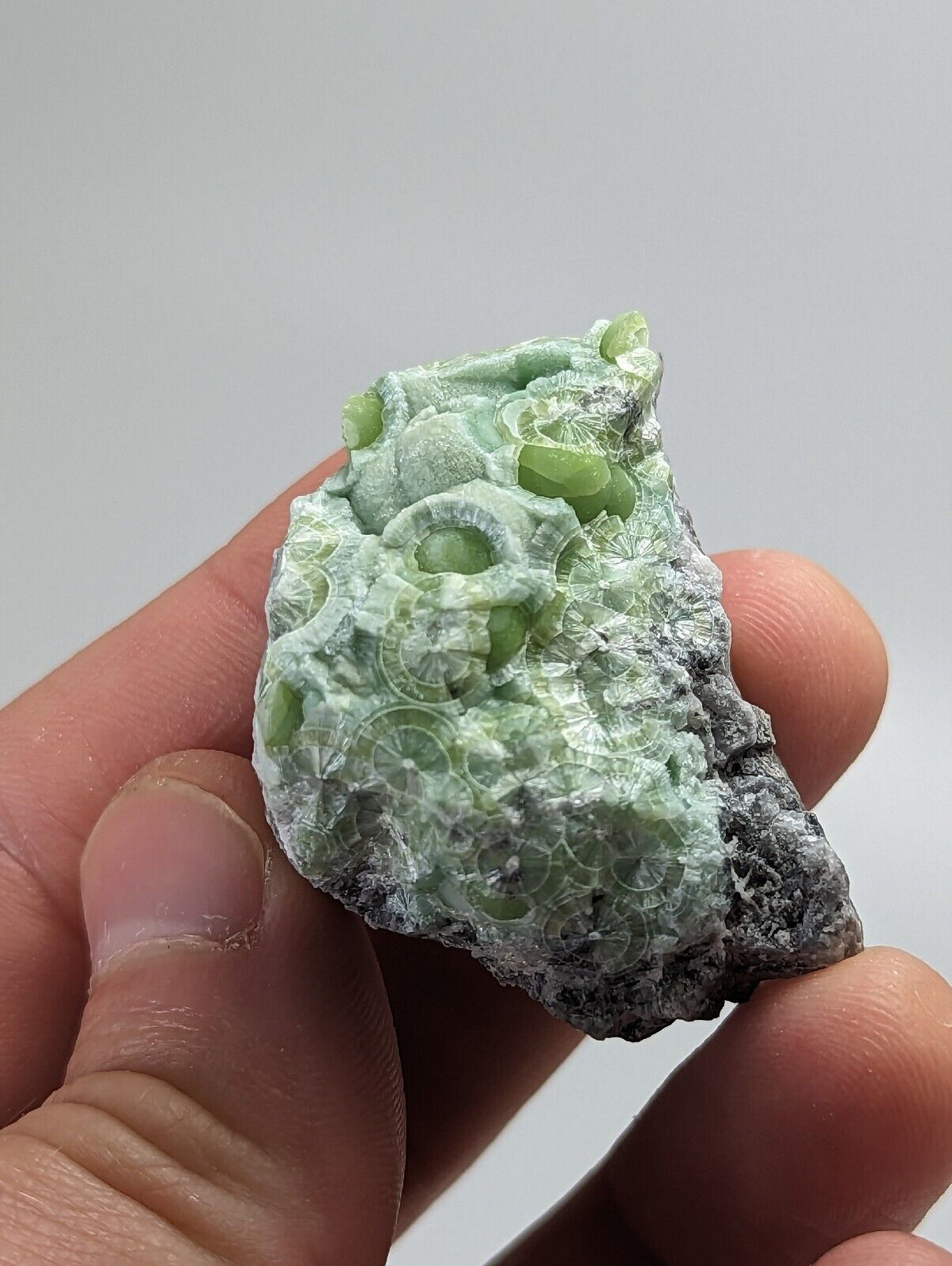 Wavellite - Fantastic 1990s Old Stock - Mauldin Mountain Arkansas - Collectibles:Rocks Fossils & Minerals:Crystals