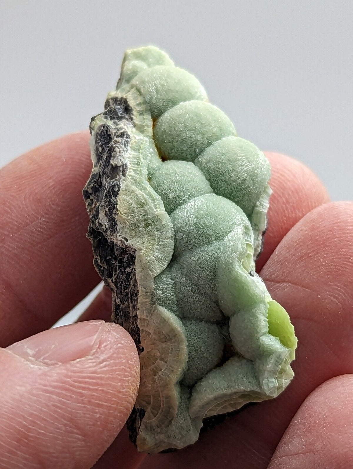 Wavellite - Fantastic 1990s Old Stock - Mauldin Mountain Arkansas - Collectibles:Rocks Fossils & Minerals:Crystals