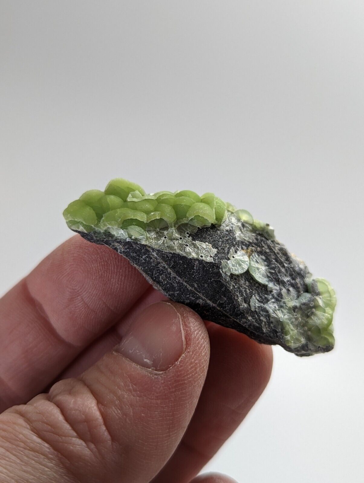 Wavellite - Fantastic 1990s Old Stock - Mauldin Mountain Arkansas - Collectibles:Rocks Fossils & Minerals:Crystals