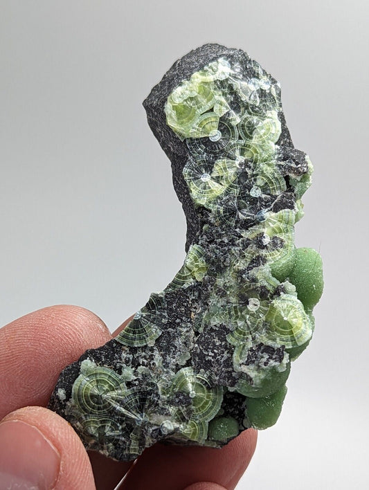 Wavellite - Fantastic 1990s Old Stock - Mauldin Mountain Arkansas - Collectibles:Rocks Fossils & Minerals:Crystals
