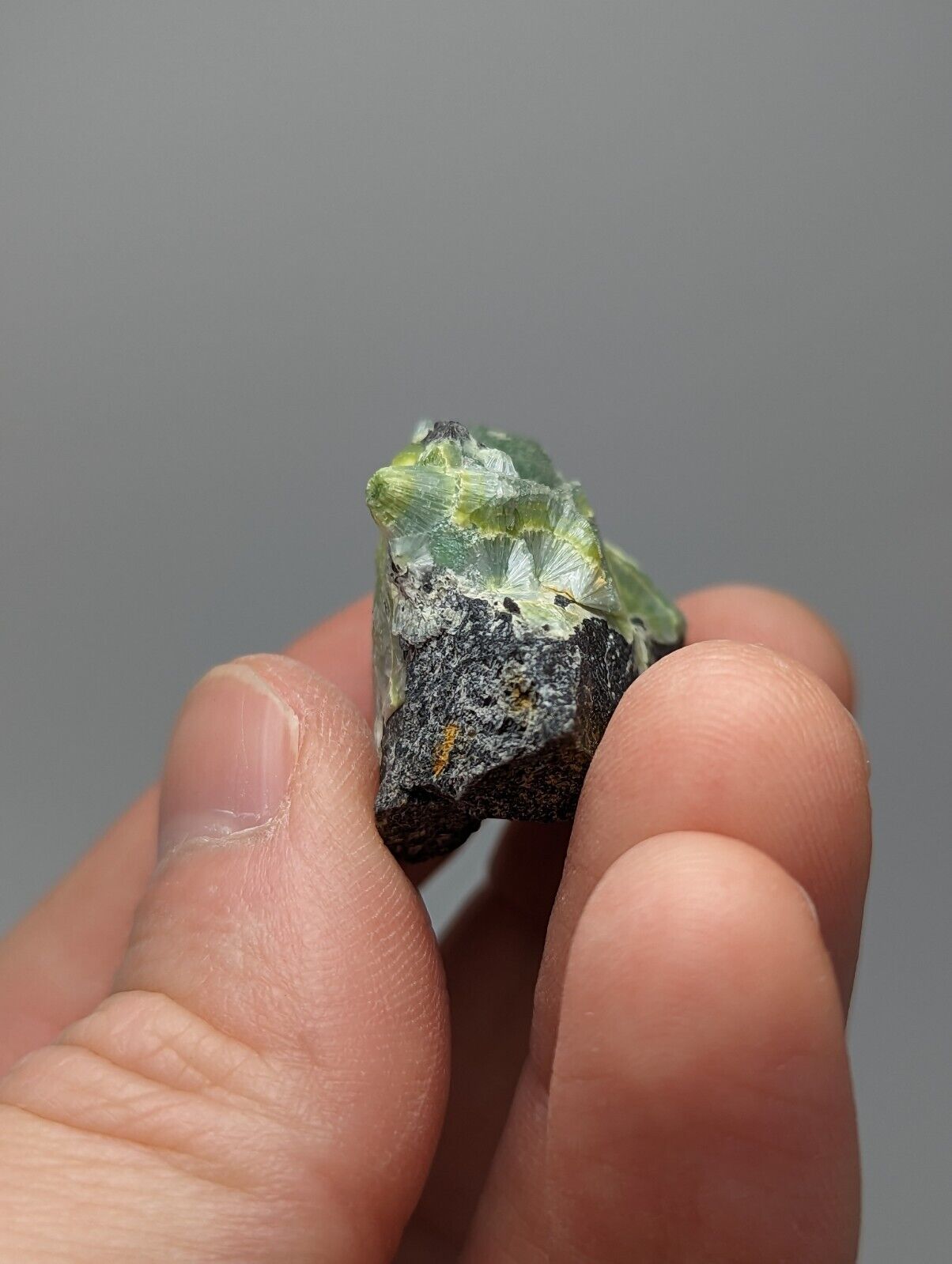 Wavellite - Fantastic 1990s Old Stock - Mauldin Mountain Arkansas Large Eye - Collectibles:Rocks Fossils &
