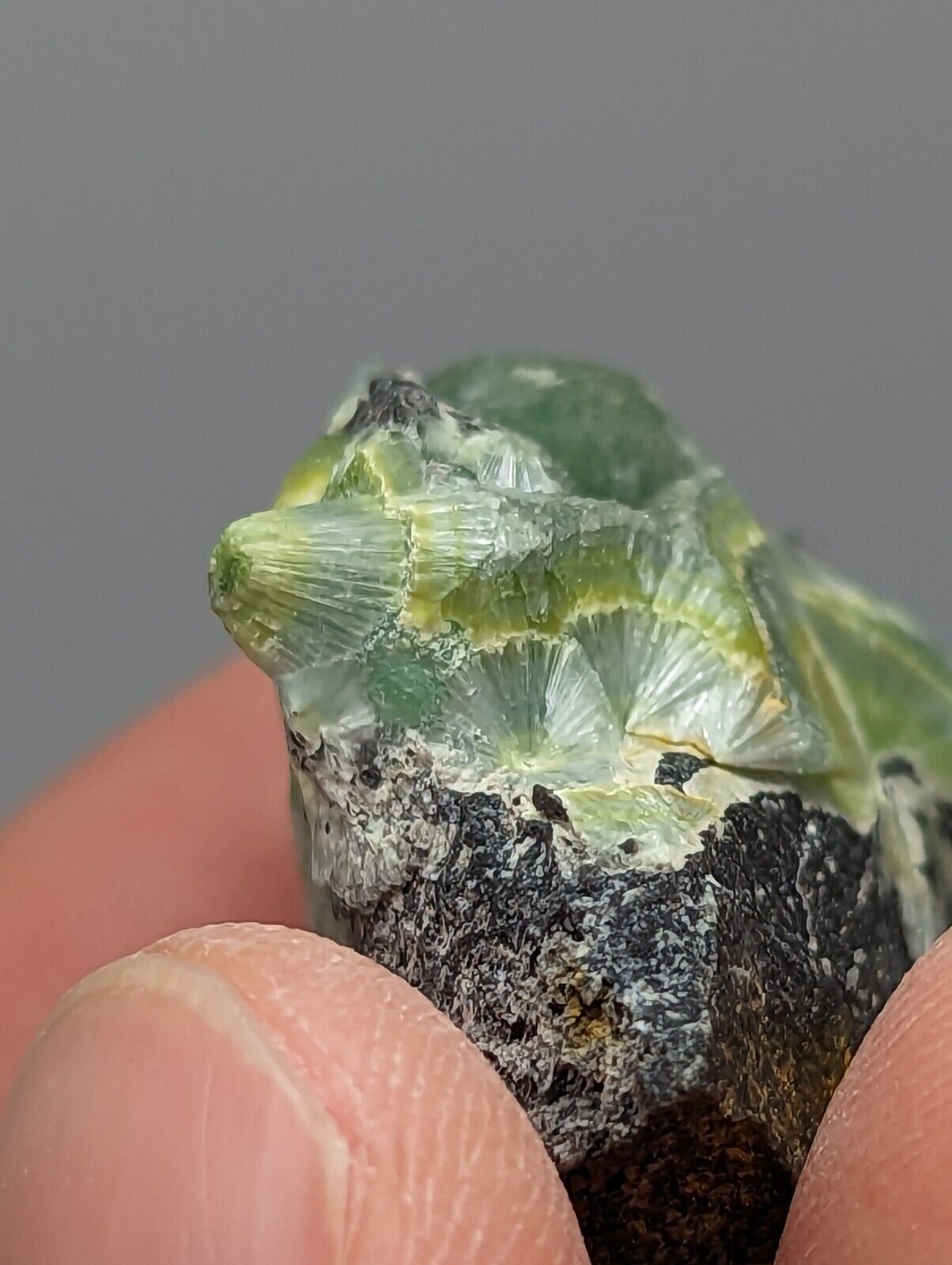 Wavellite - Fantastic 1990s Old Stock - Mauldin Mountain Arkansas Large Eye - Collectibles:Rocks Fossils &