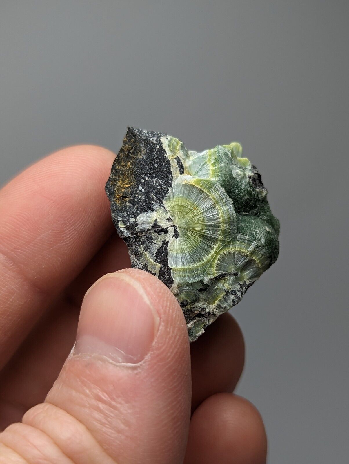 Wavellite - Fantastic 1990s Old Stock - Mauldin Mountain Arkansas Large Eye - Collectibles:Rocks Fossils &