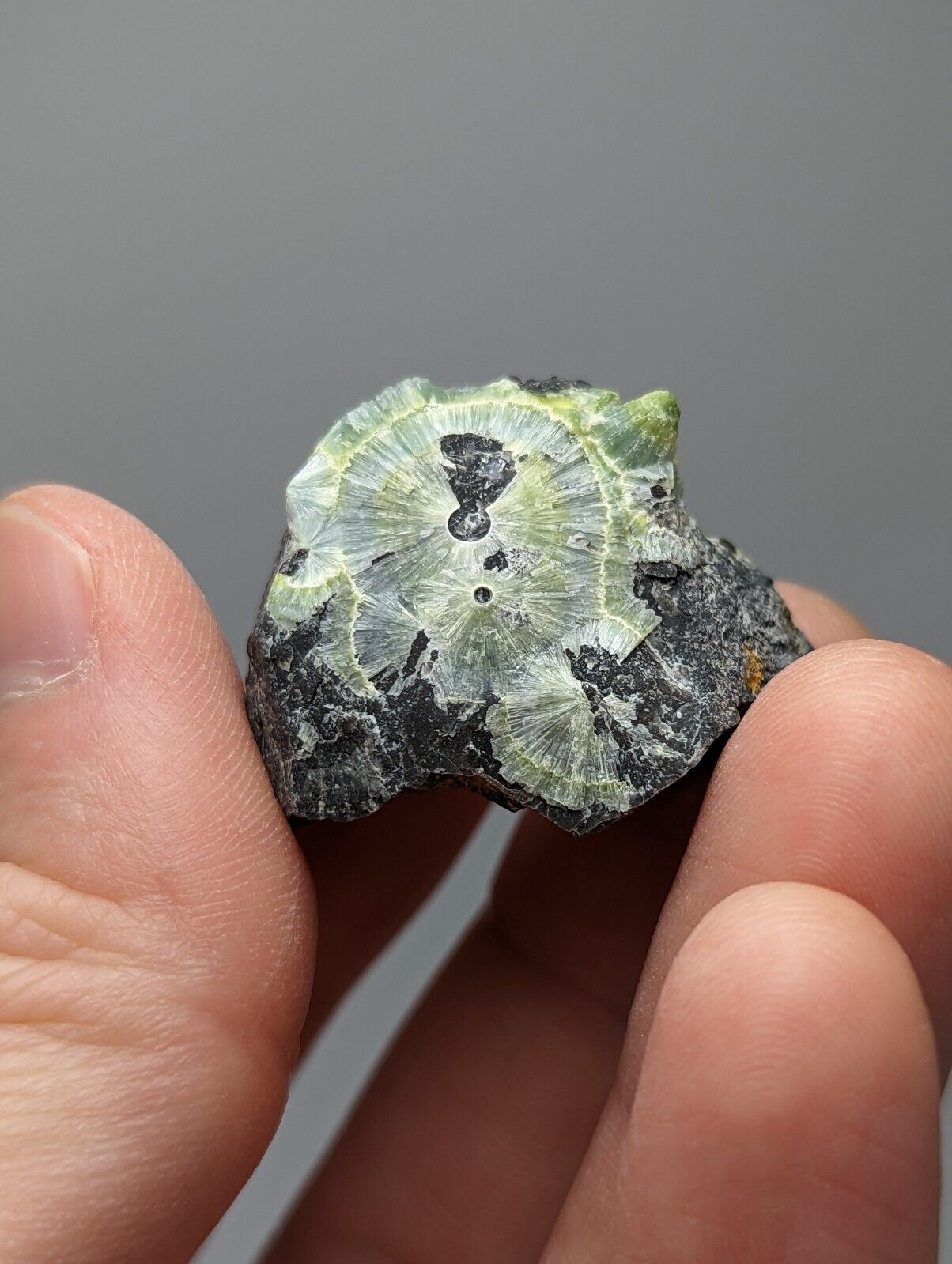 Wavellite - Fantastic 1990s Old Stock - Mauldin Mountain Arkansas Large Eye - Collectibles:Rocks Fossils &