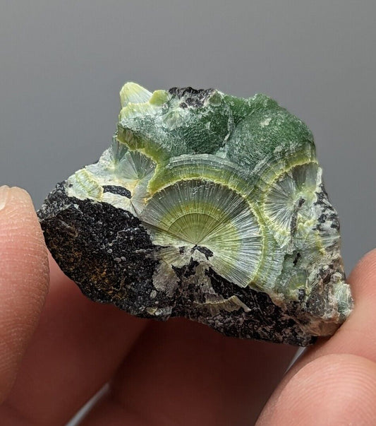Wavellite - Fantastic 1990s Old Stock - Mauldin Mountain Arkansas Large Eye - Collectibles:Rocks Fossils &