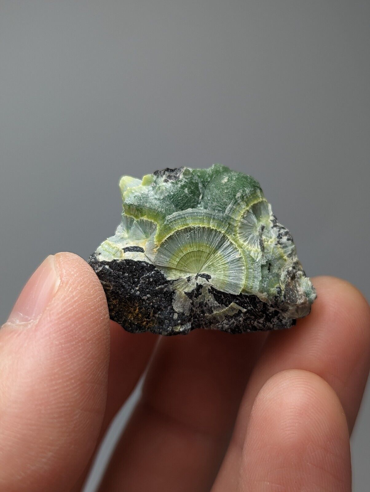 Wavellite - Fantastic 1990s Old Stock - Mauldin Mountain Arkansas Large Eye - Collectibles:Rocks Fossils &