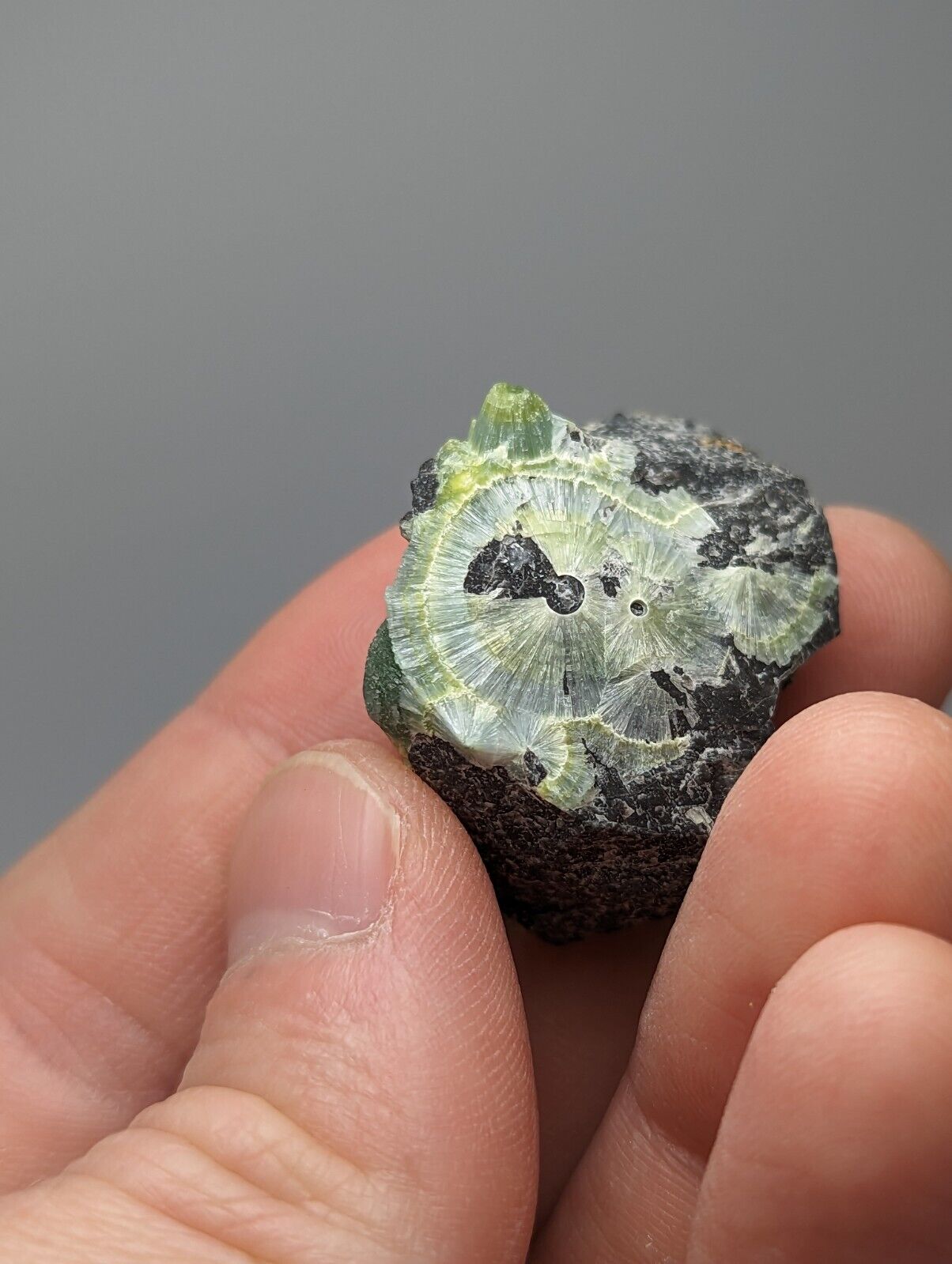 Wavellite - Fantastic 1990s Old Stock - Mauldin Mountain Arkansas Large Eye - Collectibles:Rocks Fossils &
