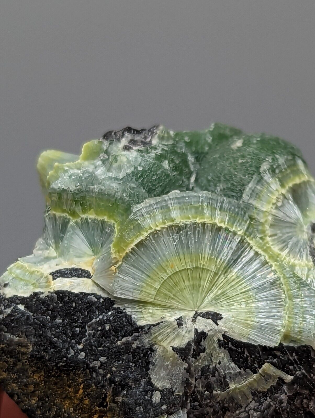 Wavellite - Fantastic 1990s Old Stock - Mauldin Mountain Arkansas Large Eye - Collectibles:Rocks Fossils &