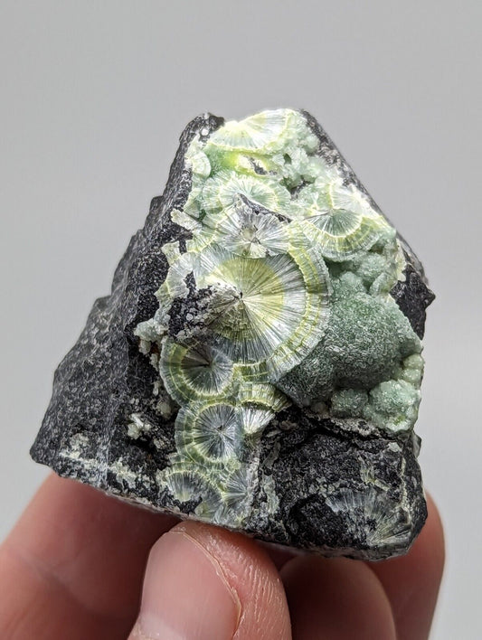 Wavellite - Fantastic 1990s Old Stock - Mauldin Mountain Arkansas USA - Collectibles:Rocks Fossils & Minerals:Crystals