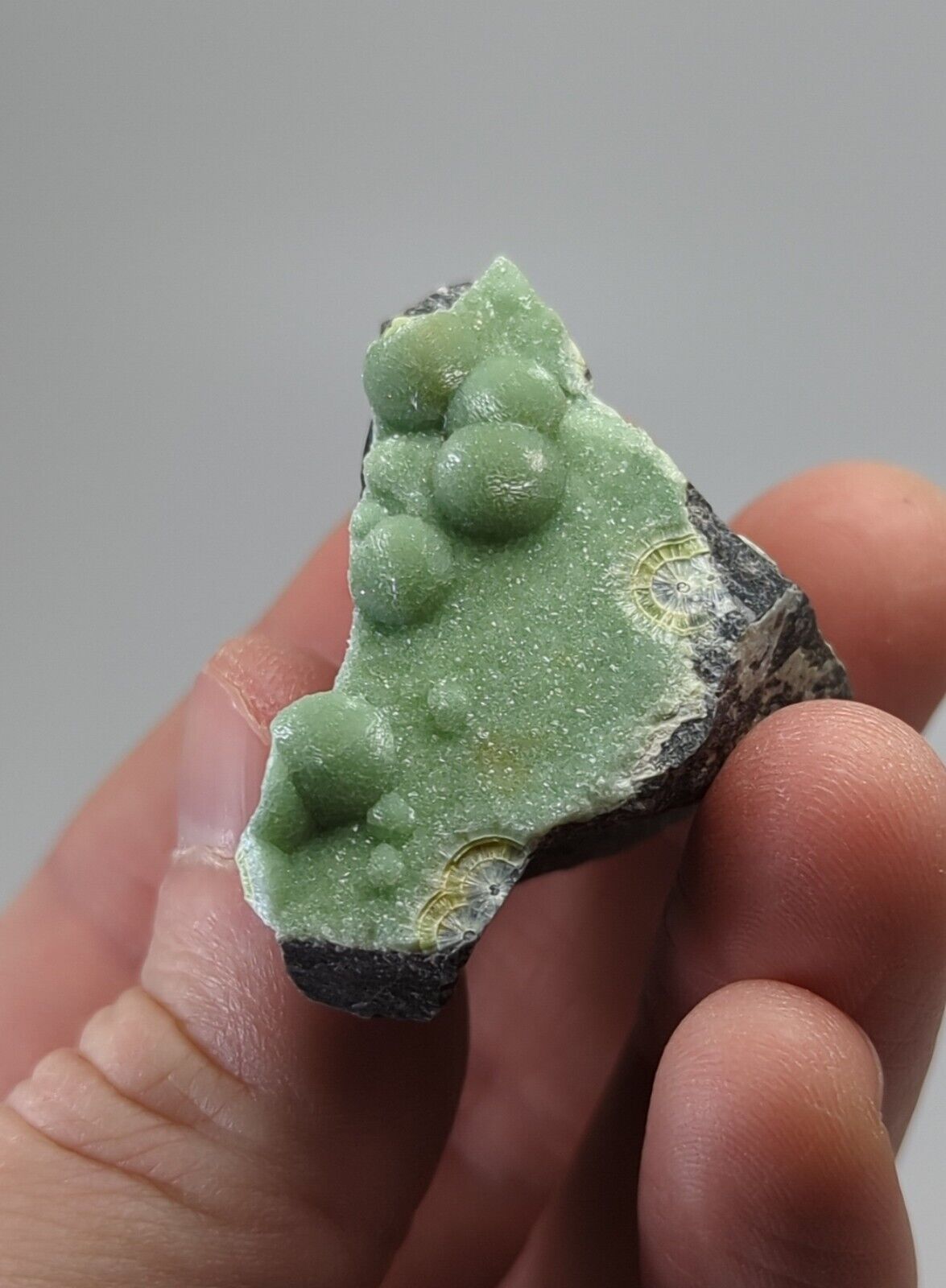 Wavellite - Fantastic 1990s Old Stock- Mauldin Mountain Montgomery co. Arkansas - Collectibles:Rocks Fossils &