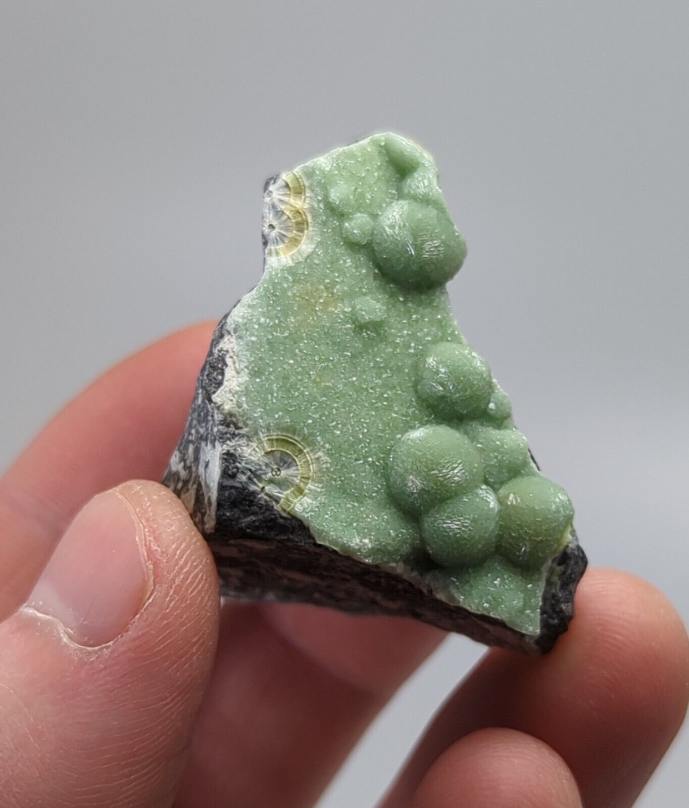 Wavellite - Fantastic 1990s Old Stock- Mauldin Mountain Montgomery co. Arkansas - Collectibles:Rocks Fossils &
