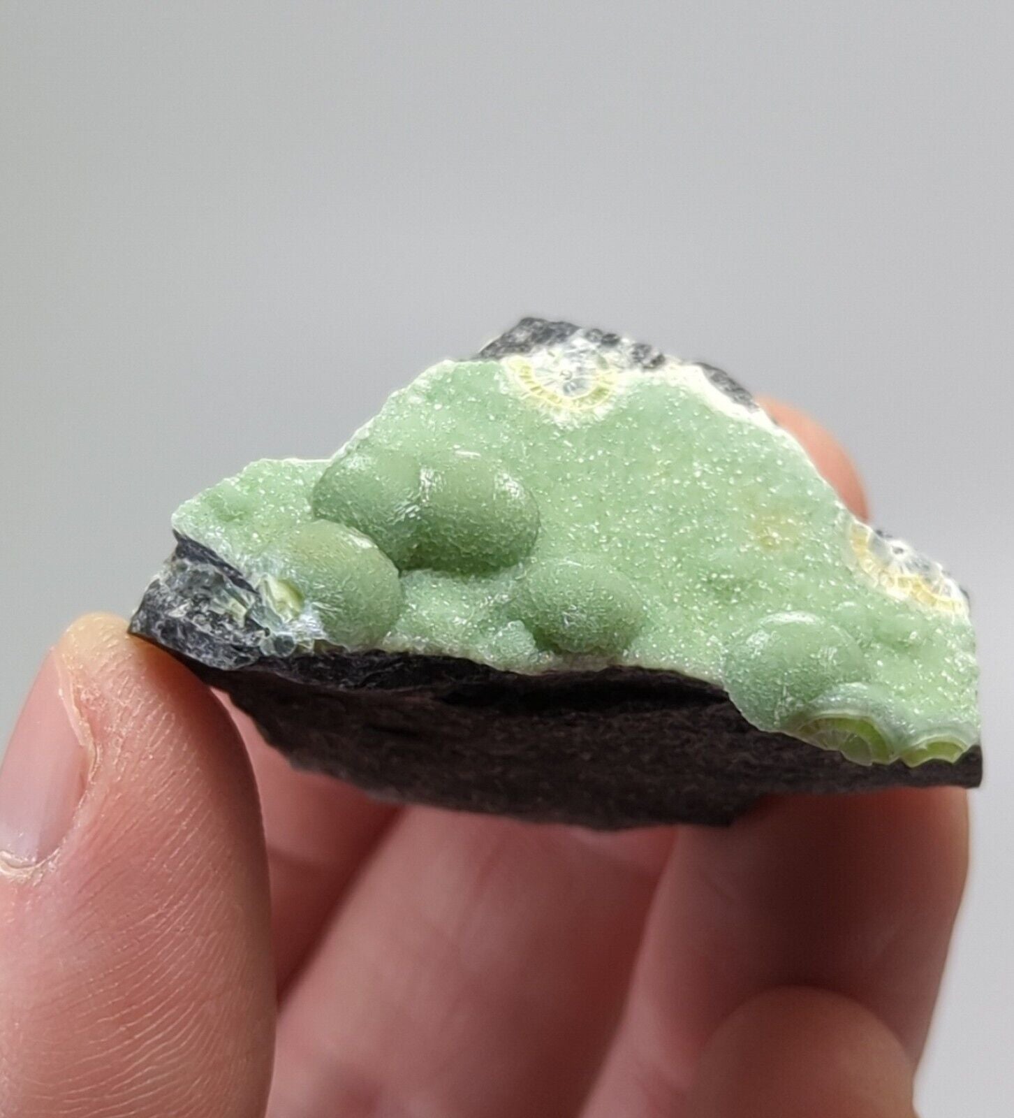 Wavellite - Fantastic 1990s Old Stock- Mauldin Mountain Montgomery co. Arkansas - Collectibles:Rocks Fossils &