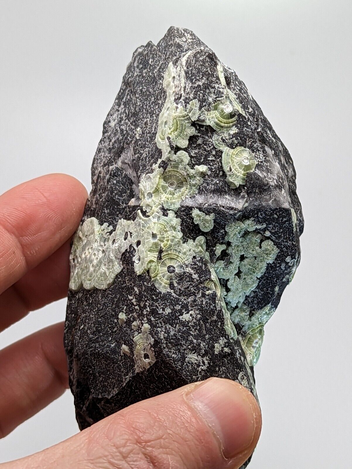 Wavellite - Fantastic Old Stock - Mauldin Mountain Arkansas 10.5 cm - Collectibles:Rocks Fossils & Minerals:Crystals