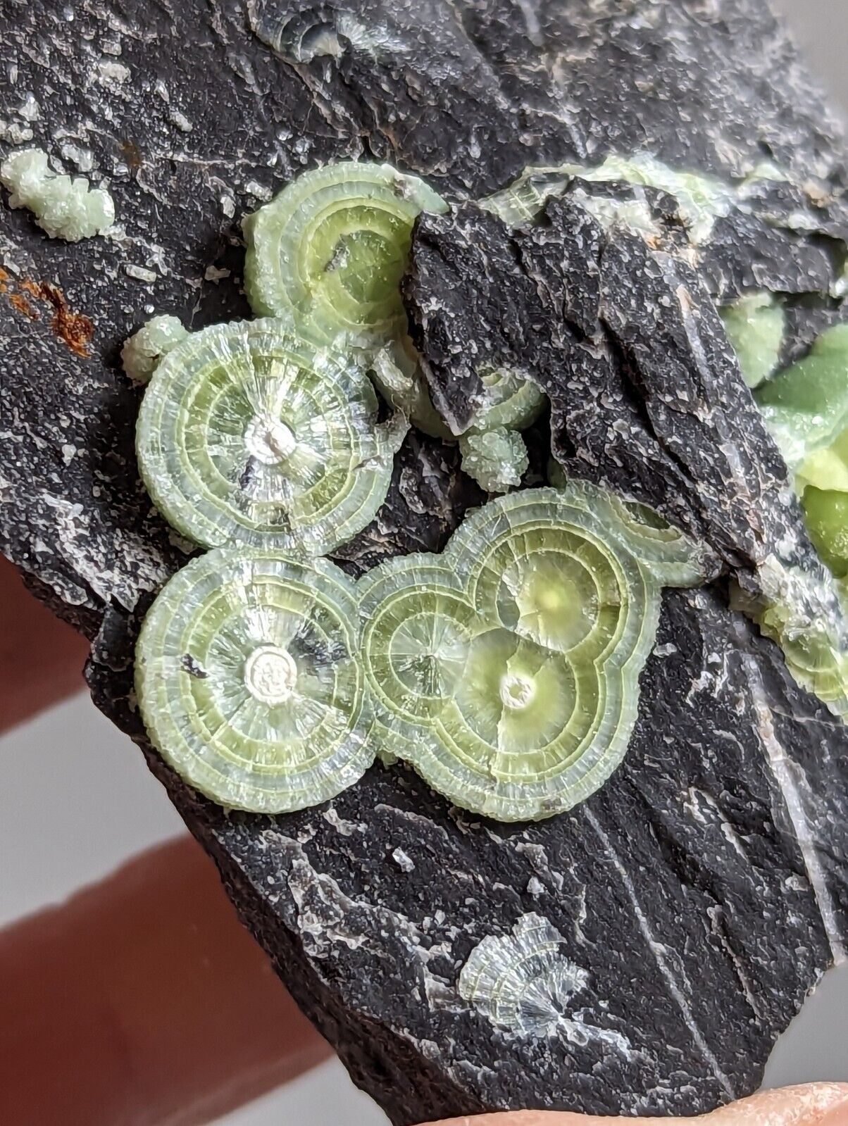 Wavellite - Fantastic Old Stock - Mauldin Mountain Arkansas - Collectibles:Rocks Fossils & Minerals:Crystals Mineral