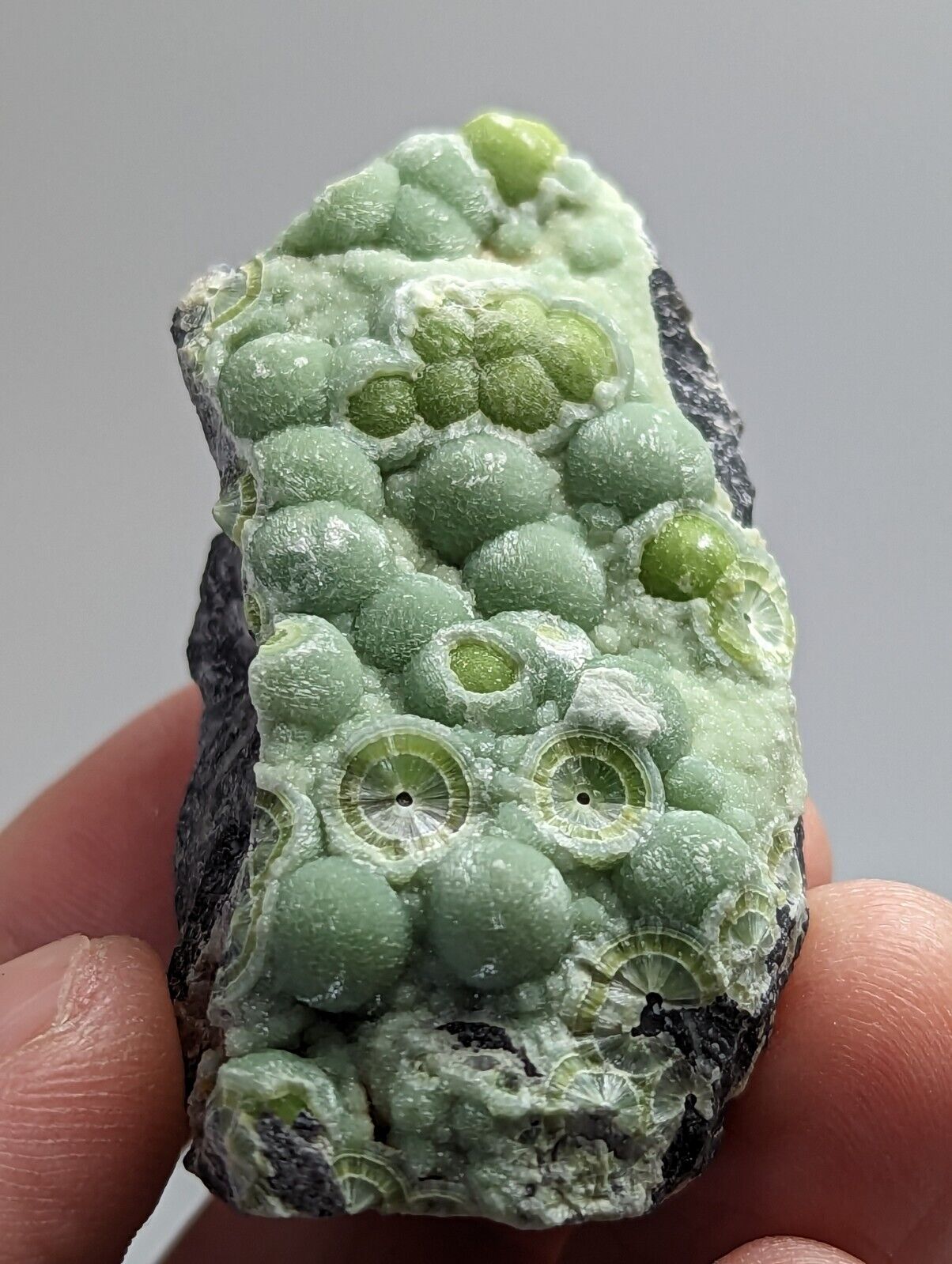 Wavellite - Fantastic Old Stock - Mauldin Mountain Arkansas - Collectibles:Rocks Fossils & Minerals:Crystals Mineral