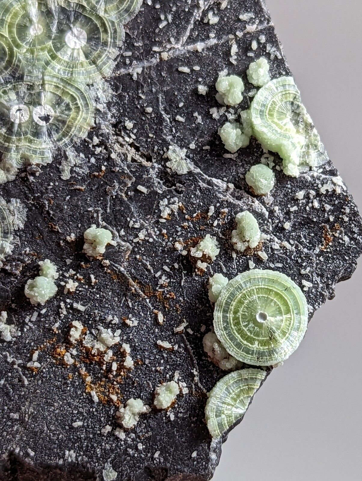 Wavellite - Fantastic Old Stock - Mauldin Mountain Arkansas - Collectibles:Rocks Fossils & Minerals:Crystals Mineral
