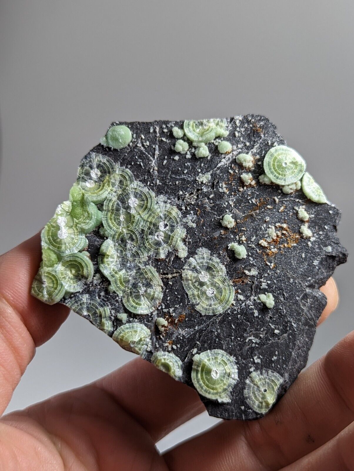 Wavellite - Fantastic Old Stock - Mauldin Mountain Arkansas - Collectibles:Rocks Fossils & Minerals:Crystals Mineral