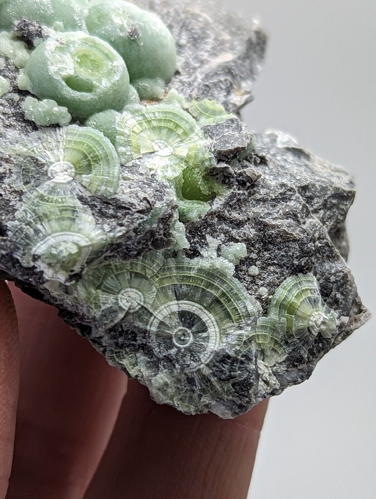 Wavellite - Fantastic Old Stock - Mauldin Mountain Arkansas - Collectibles:Rocks Fossils & Minerals:Crystals Mineral