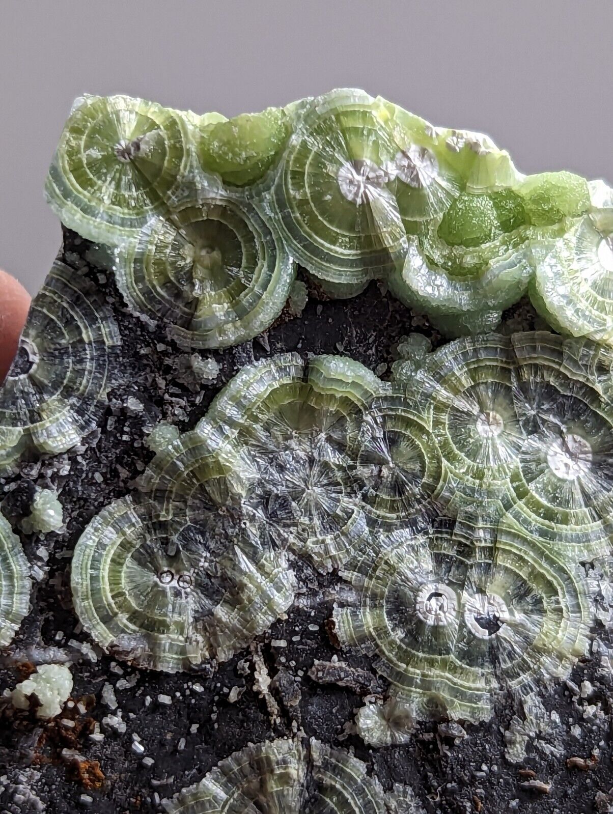 Wavellite - Fantastic Old Stock - Mauldin Mountain Arkansas - Collectibles:Rocks Fossils & Minerals:Crystals Mineral