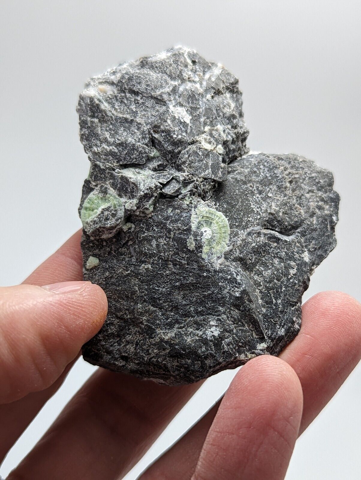 Wavellite - Fantastic Old Stock - Mauldin Mountain Arkansas - Collectibles:Rocks Fossils & Minerals:Crystals Mineral