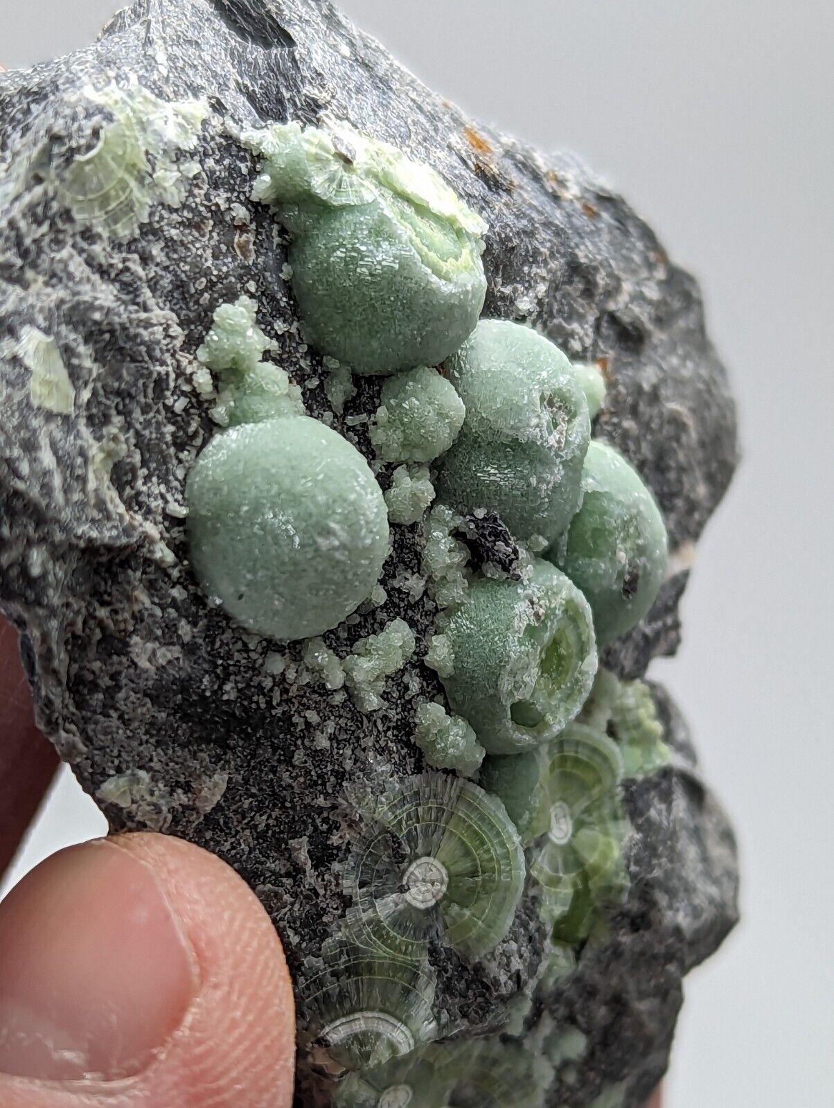 Wavellite - Fantastic Old Stock - Mauldin Mountain Arkansas - Collectibles:Rocks Fossils & Minerals:Crystals Mineral